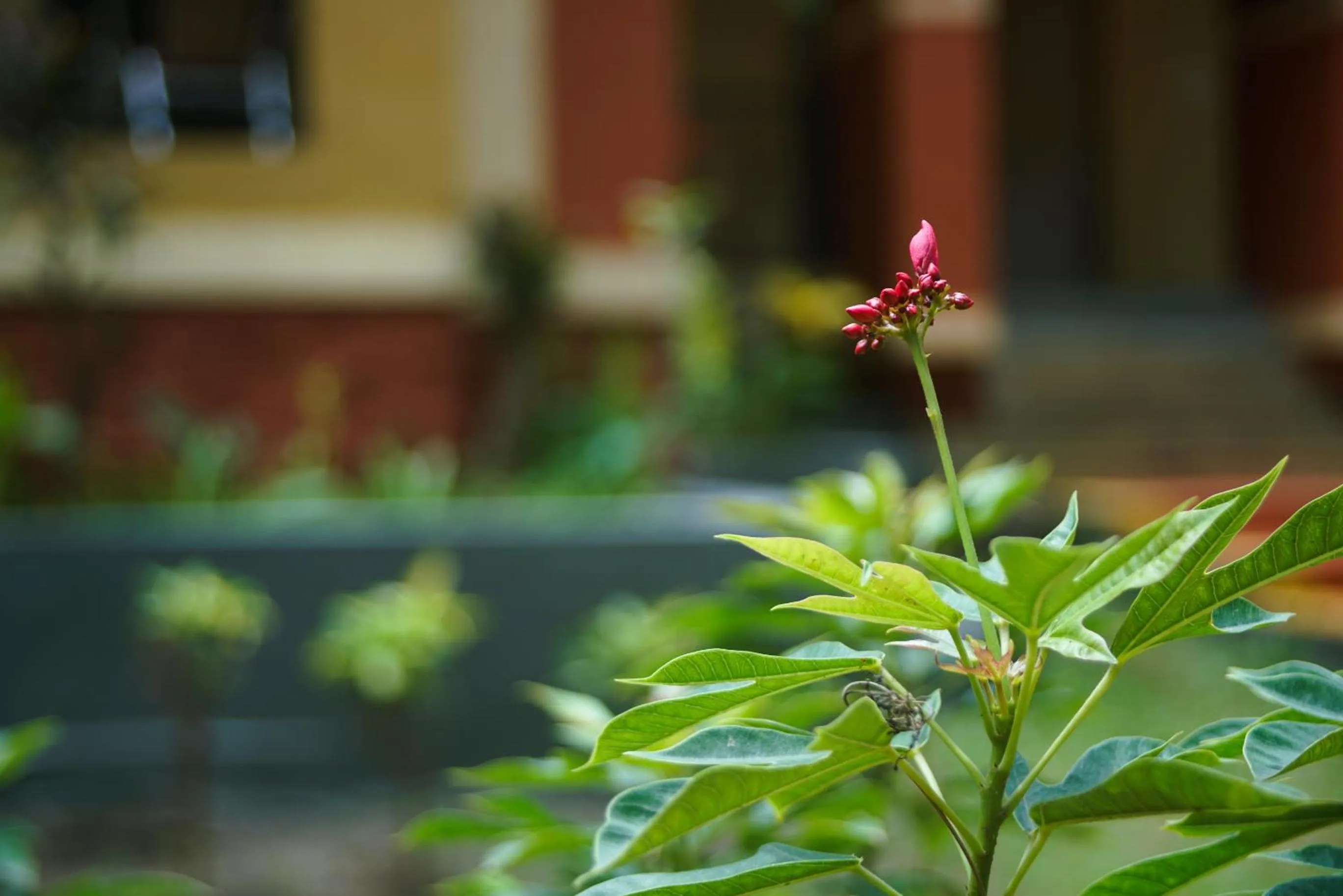 Natural landscape in Nature Trails Durshet, Khopoli