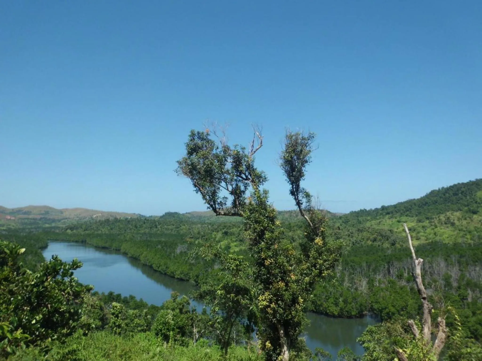 River view in The Riverhouse