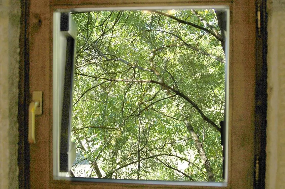 Garden view in Hotel Restaurante Santa Elena