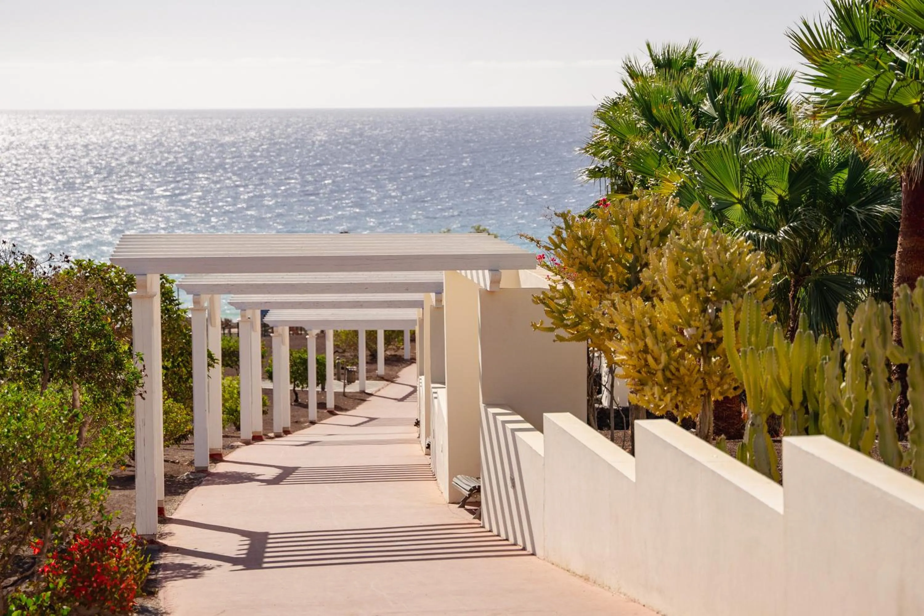 Off site in Iberostar Waves Gaviotas Park