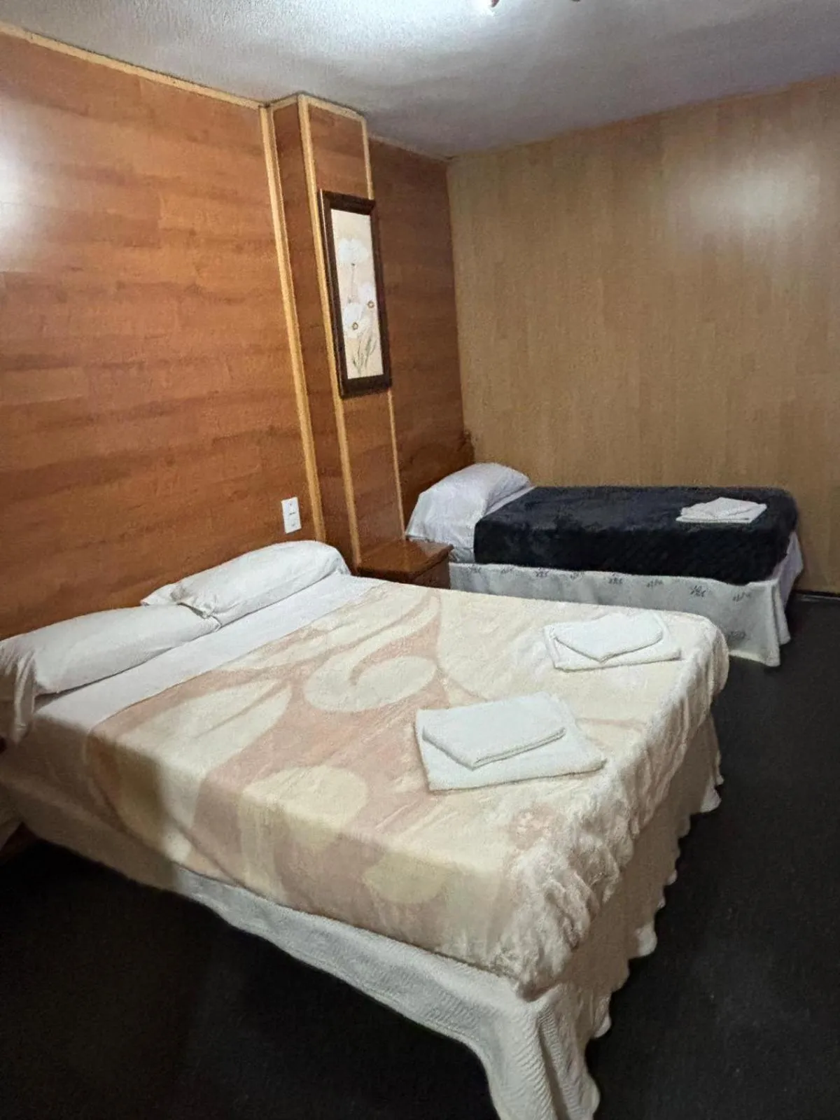 Deluxe Room (2 Adults + 1 Child) in Hotel Don Jose