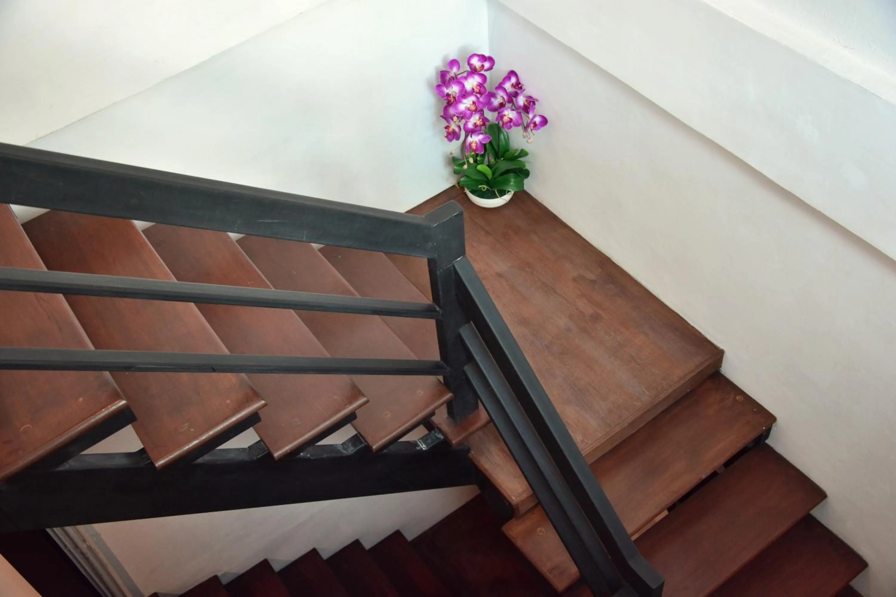 Property building in Seedling House