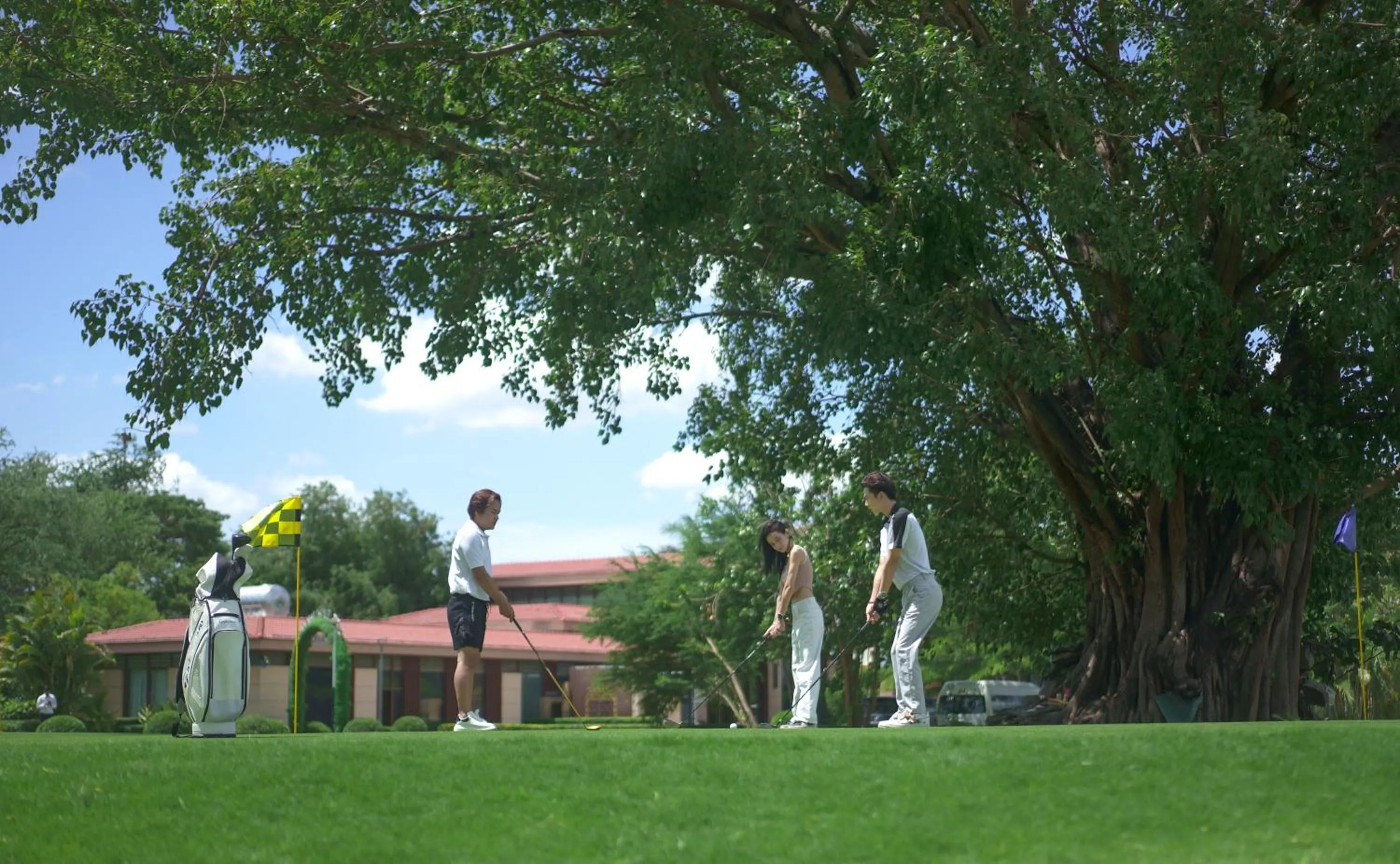 Natural landscape in Merton Holiday Inn