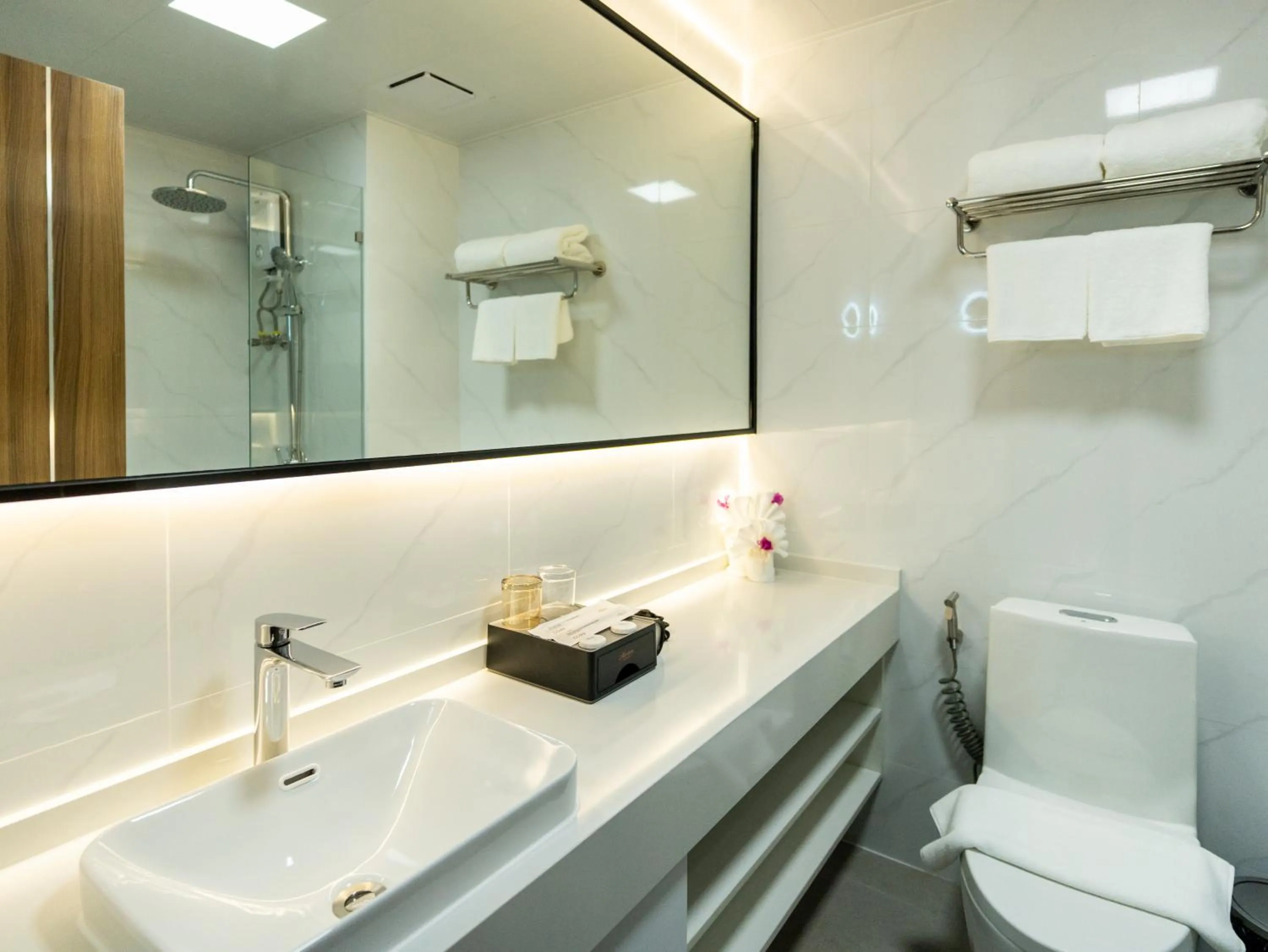 Shower in Merton Holiday Inn