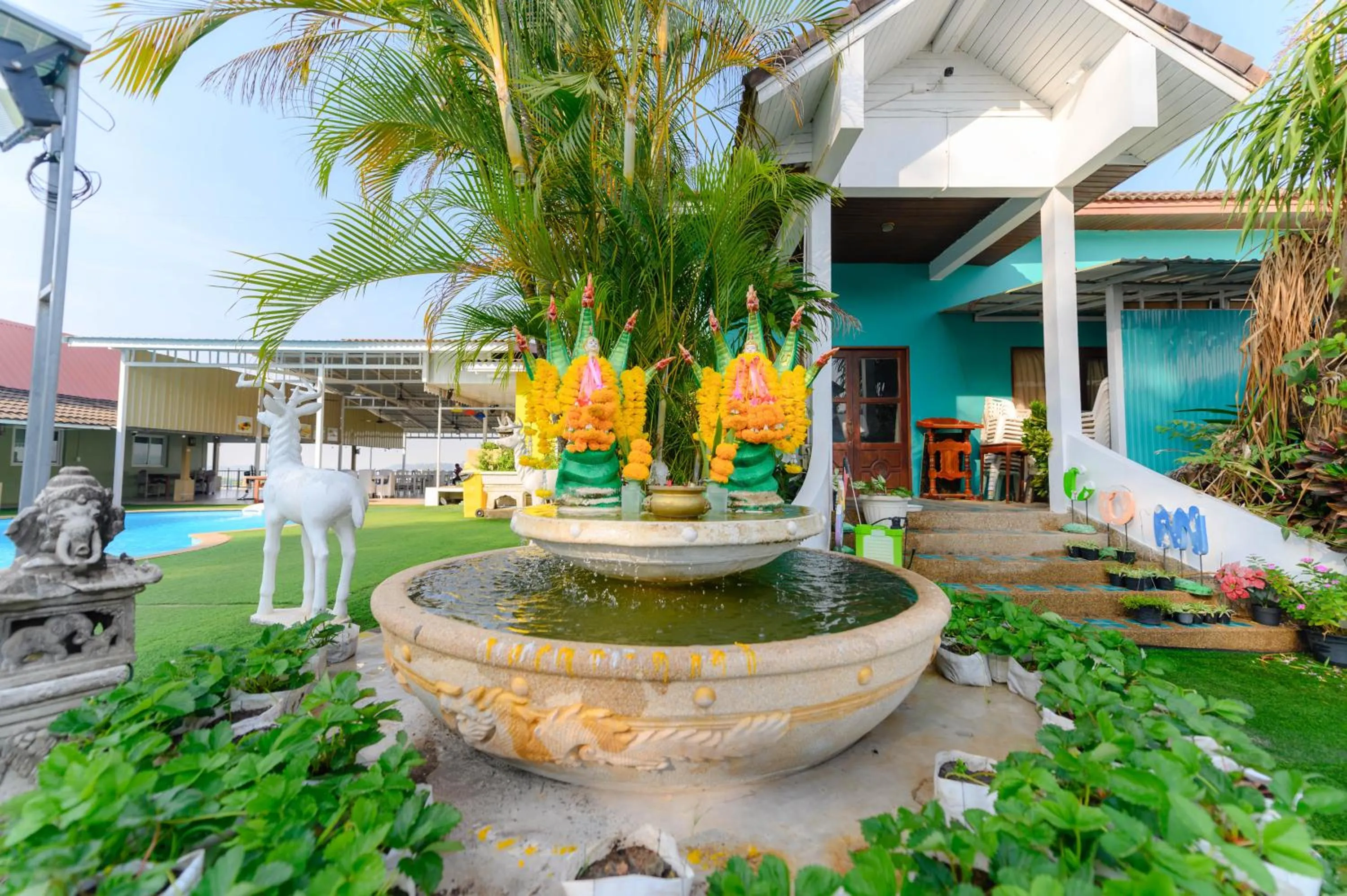 Natural landscape in Kongkhamkoon Hotel