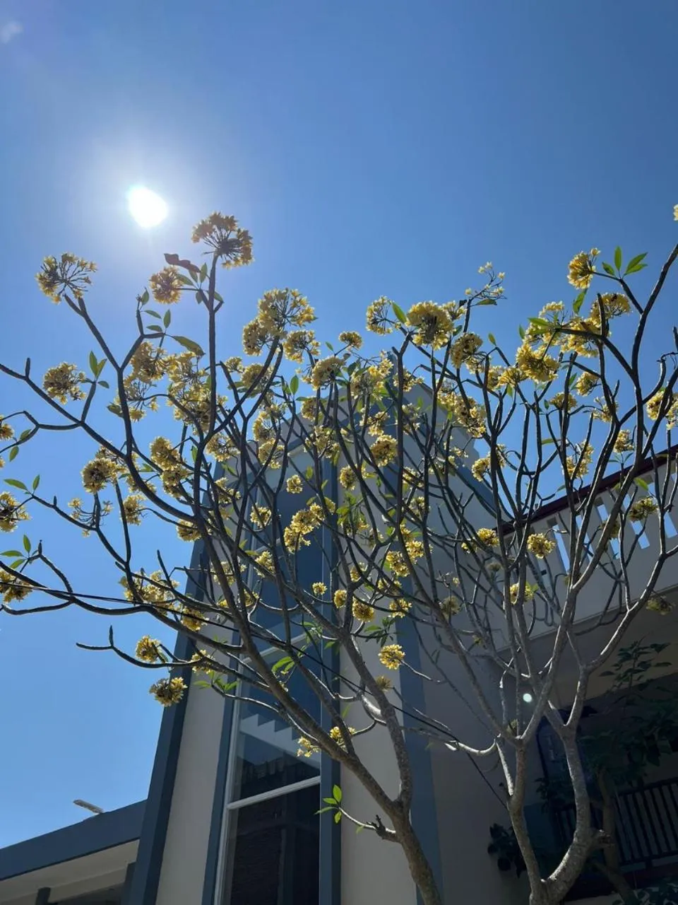 Garden view in Hotel Century Pangandaran