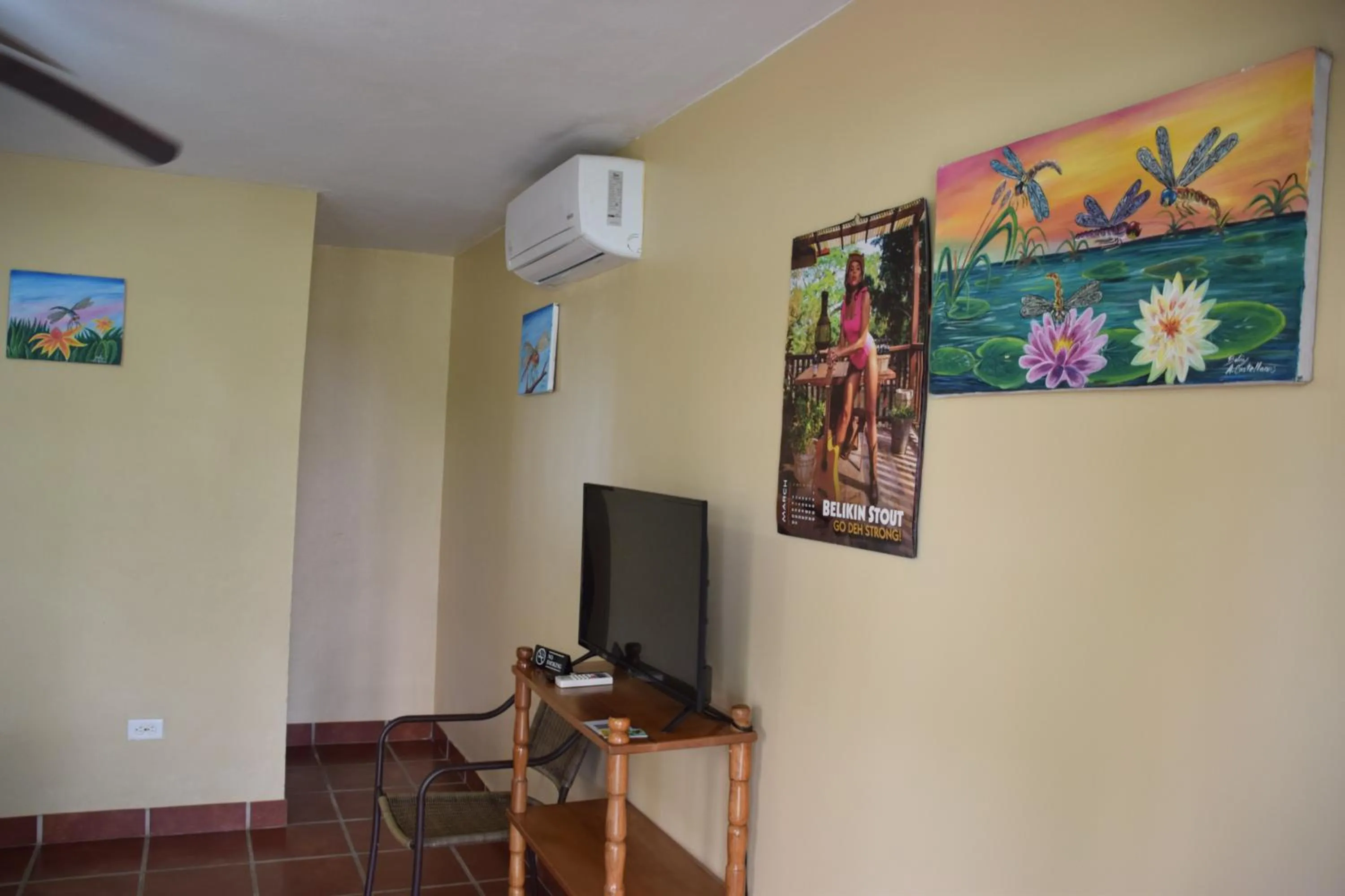 TV and multimedia in Bamboleo Inn