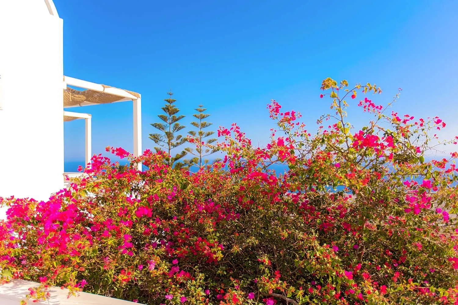 Spring in Phaos Santorini Suites