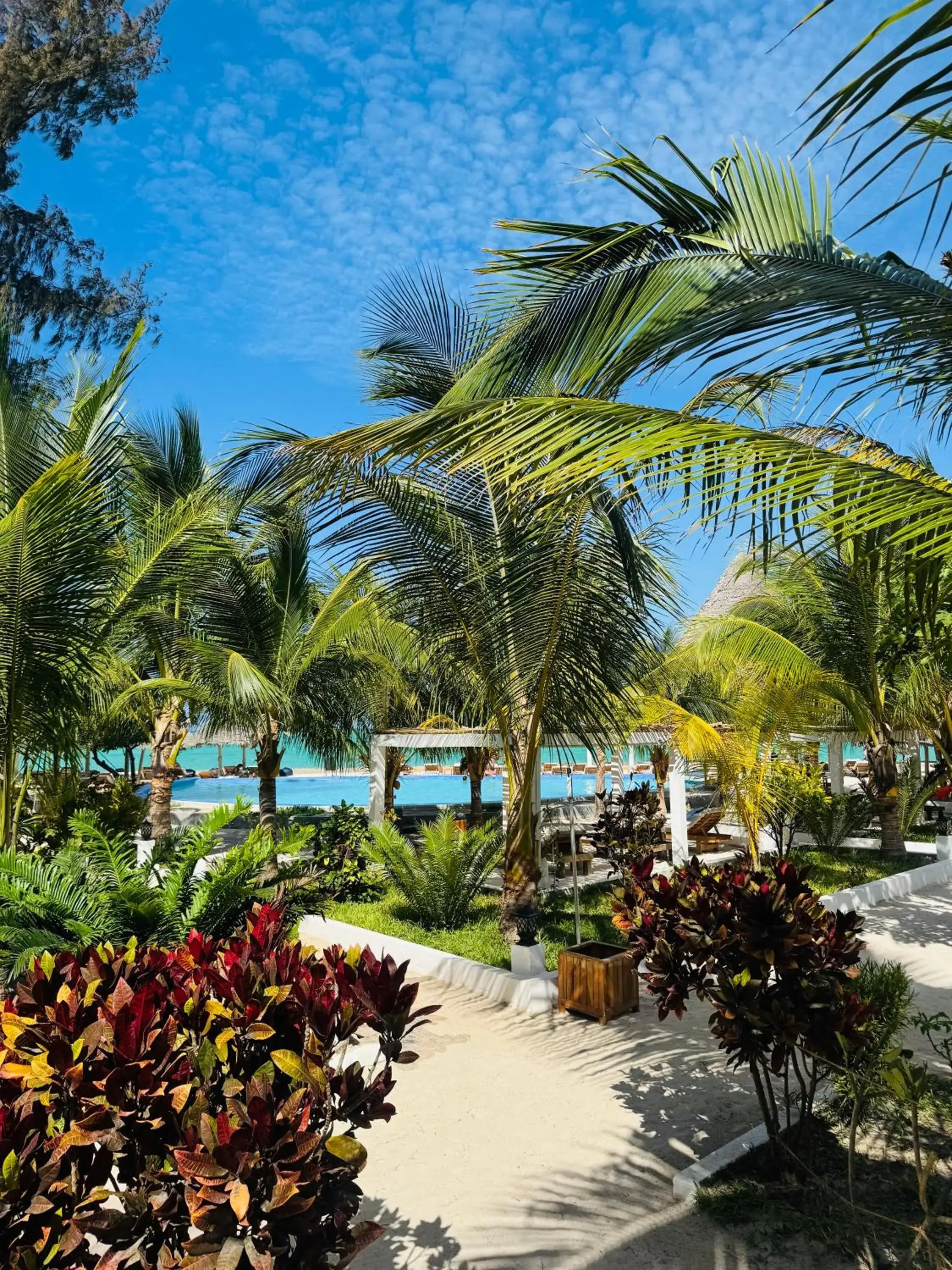 Jambo Resort by Mambo Hotels Jambo Resort by Mambo Hotels