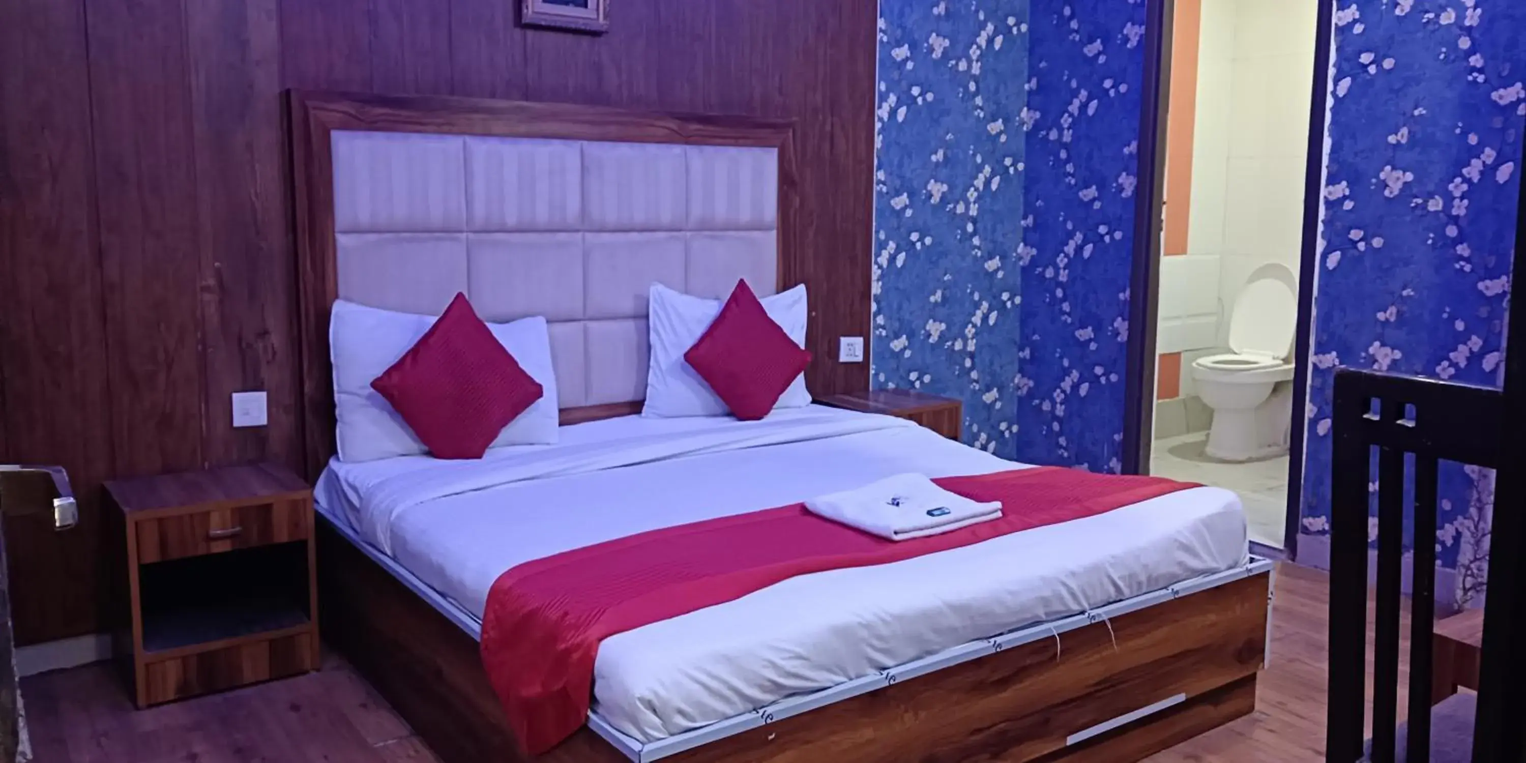 Large Double Room in Hotel RTS Plaza Near IGI Airport Large Double Room in Hotel RTS Plaza Near IGI Airport