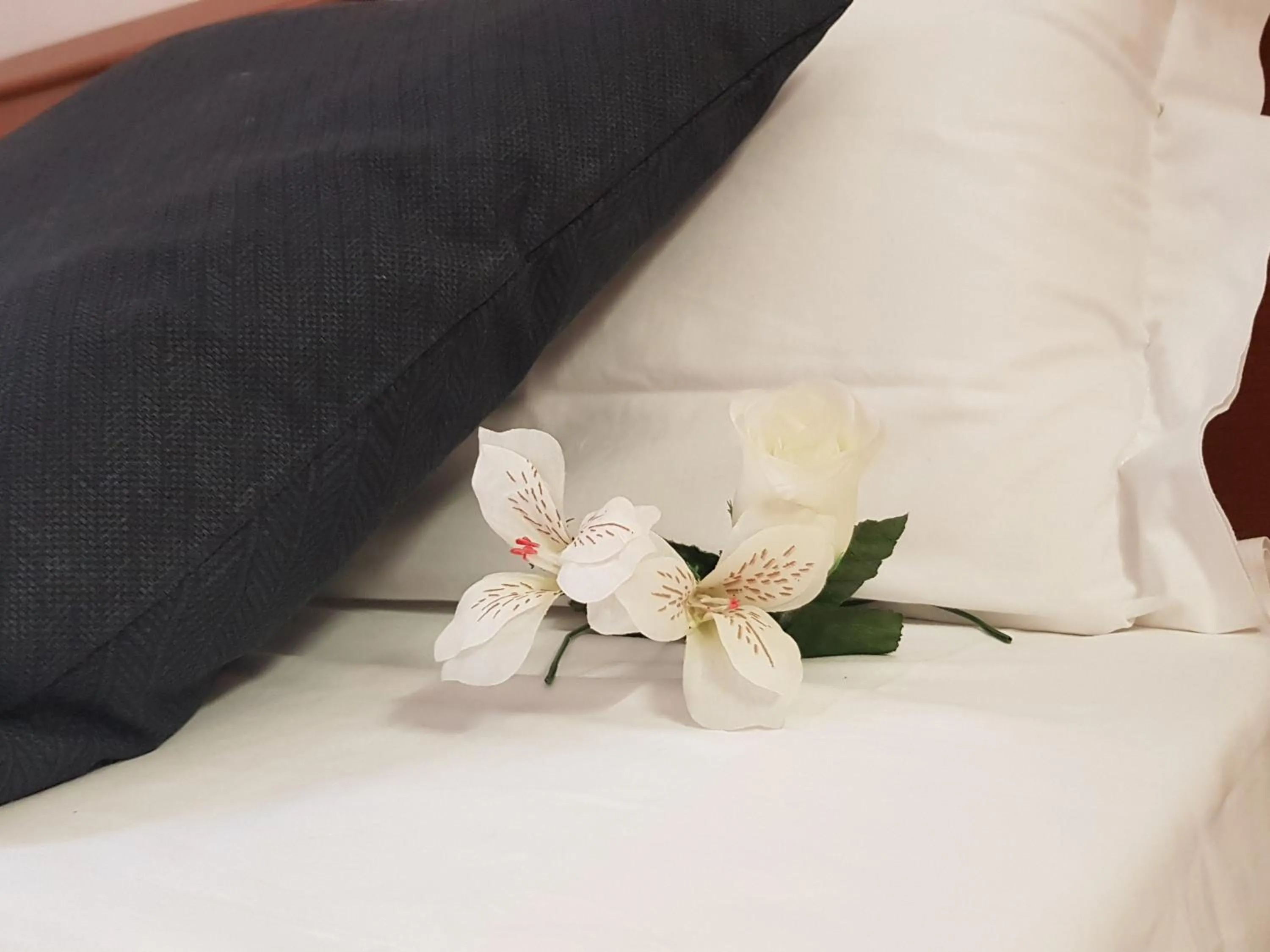 Photo of the whole room, Bed in B&B Al Parco