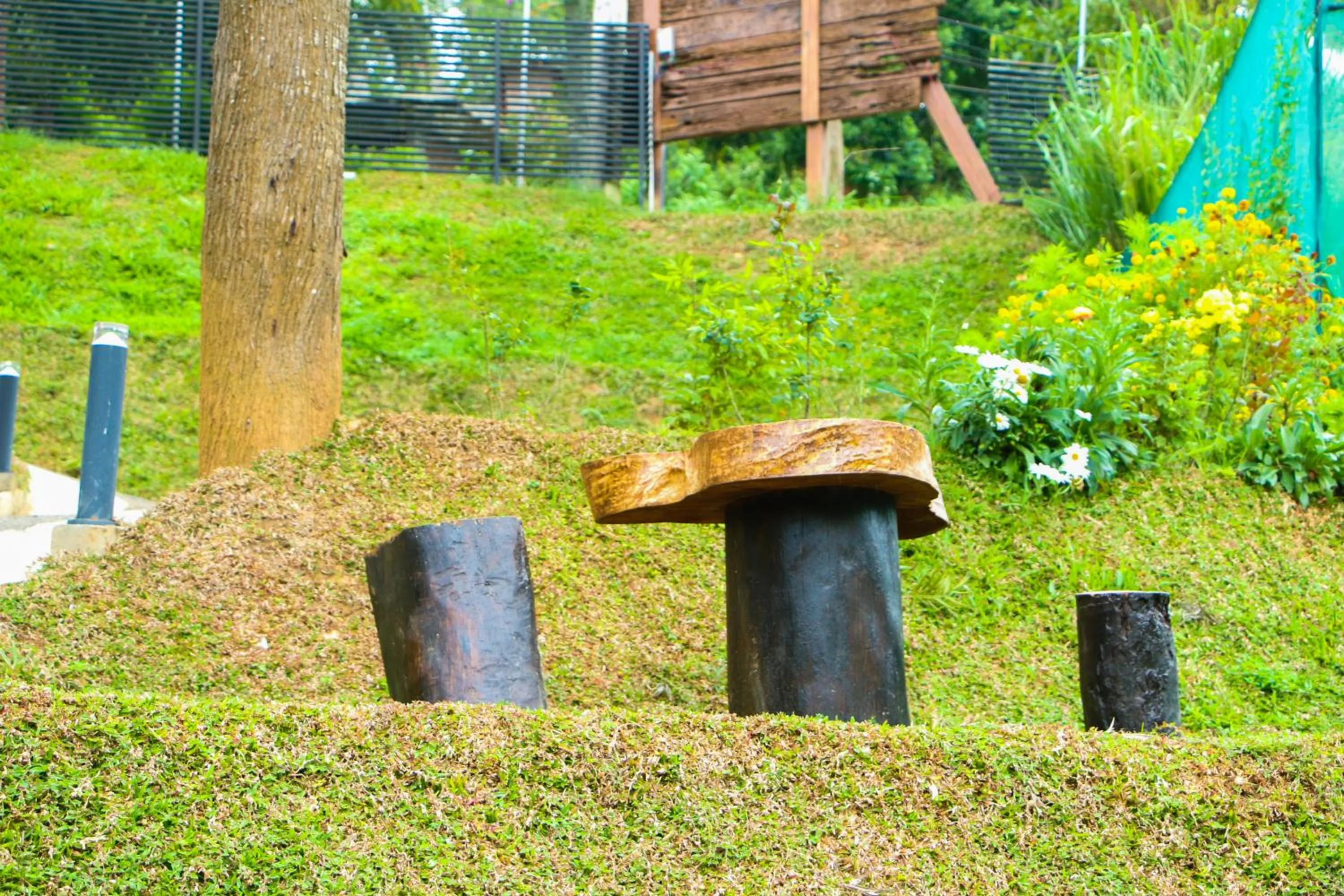 Garden in EllaCrest by Aloft