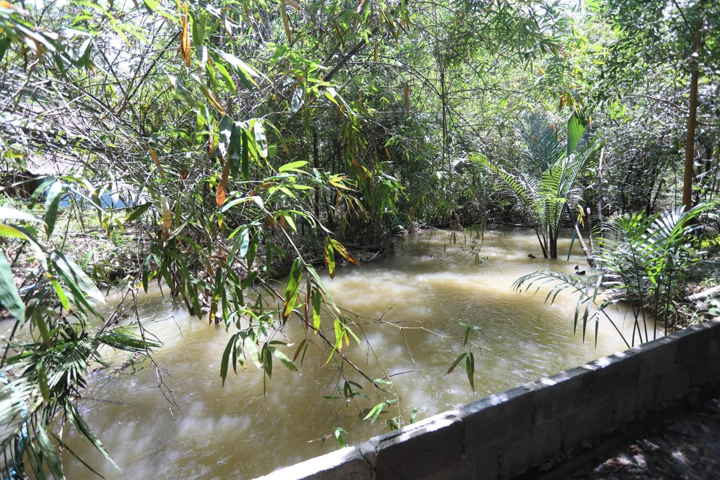 Animals in Mata Guesthouse