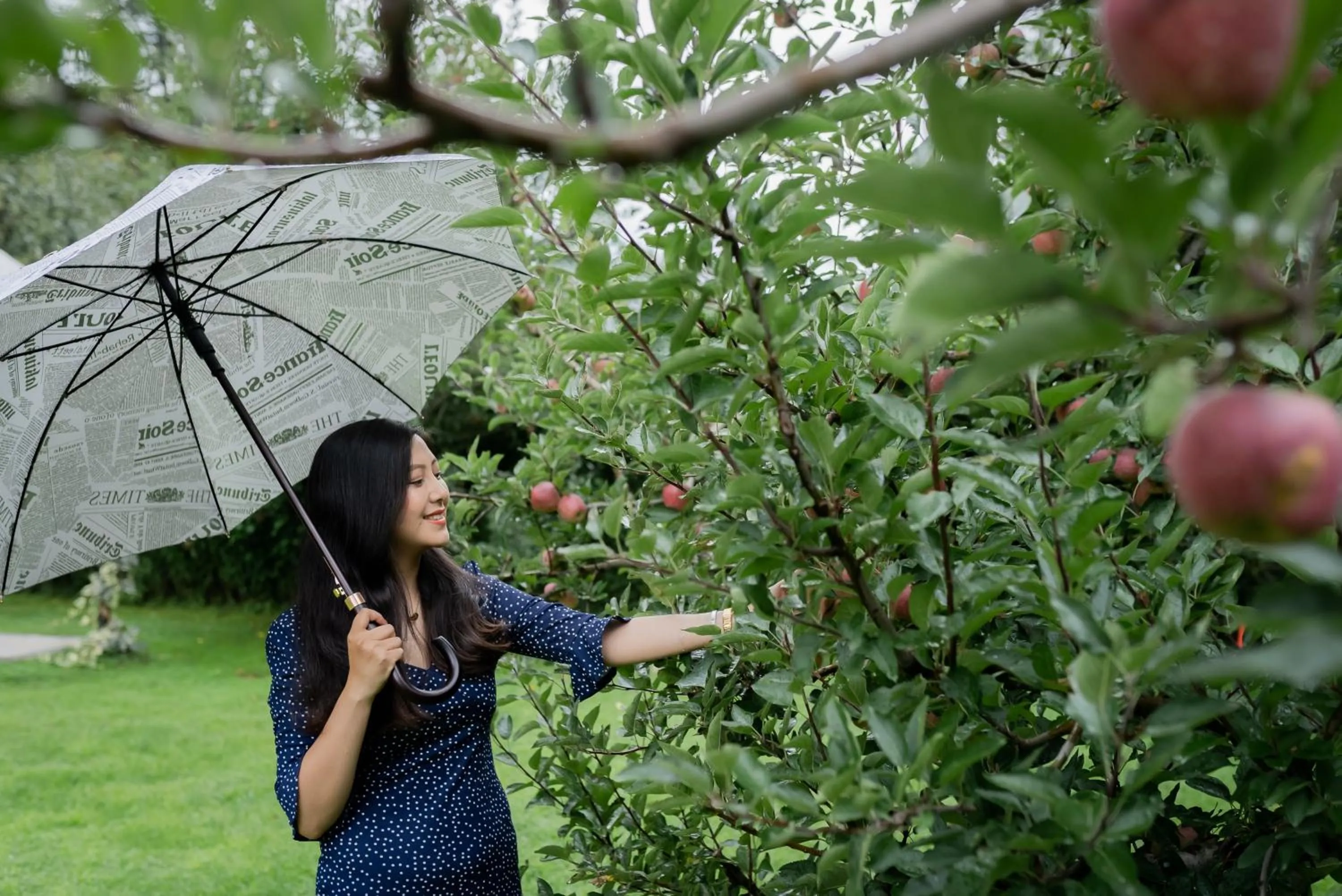 View (from property/room) in Larisa Resort Manali