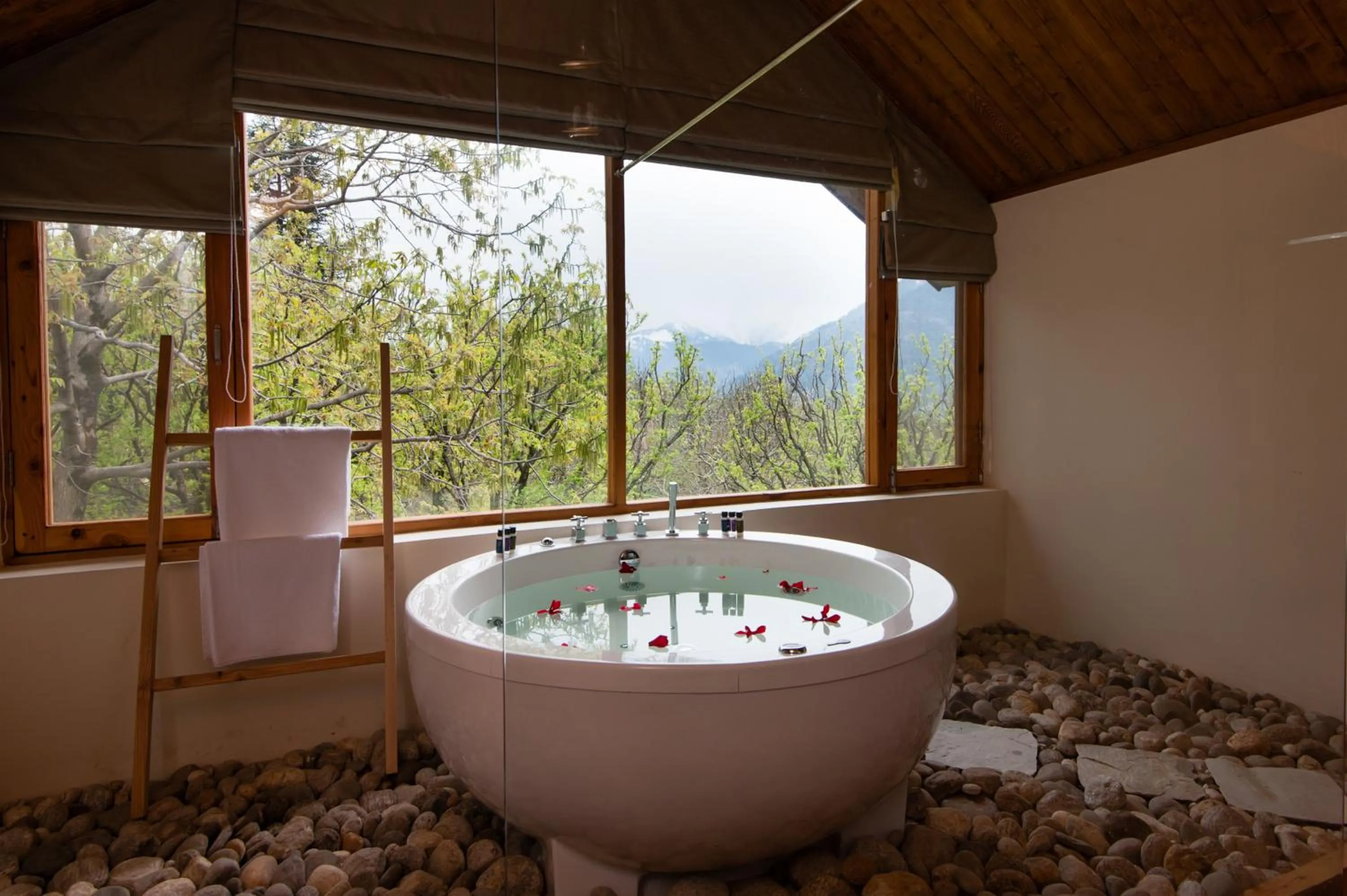Bathroom in Larisa Resort Manali