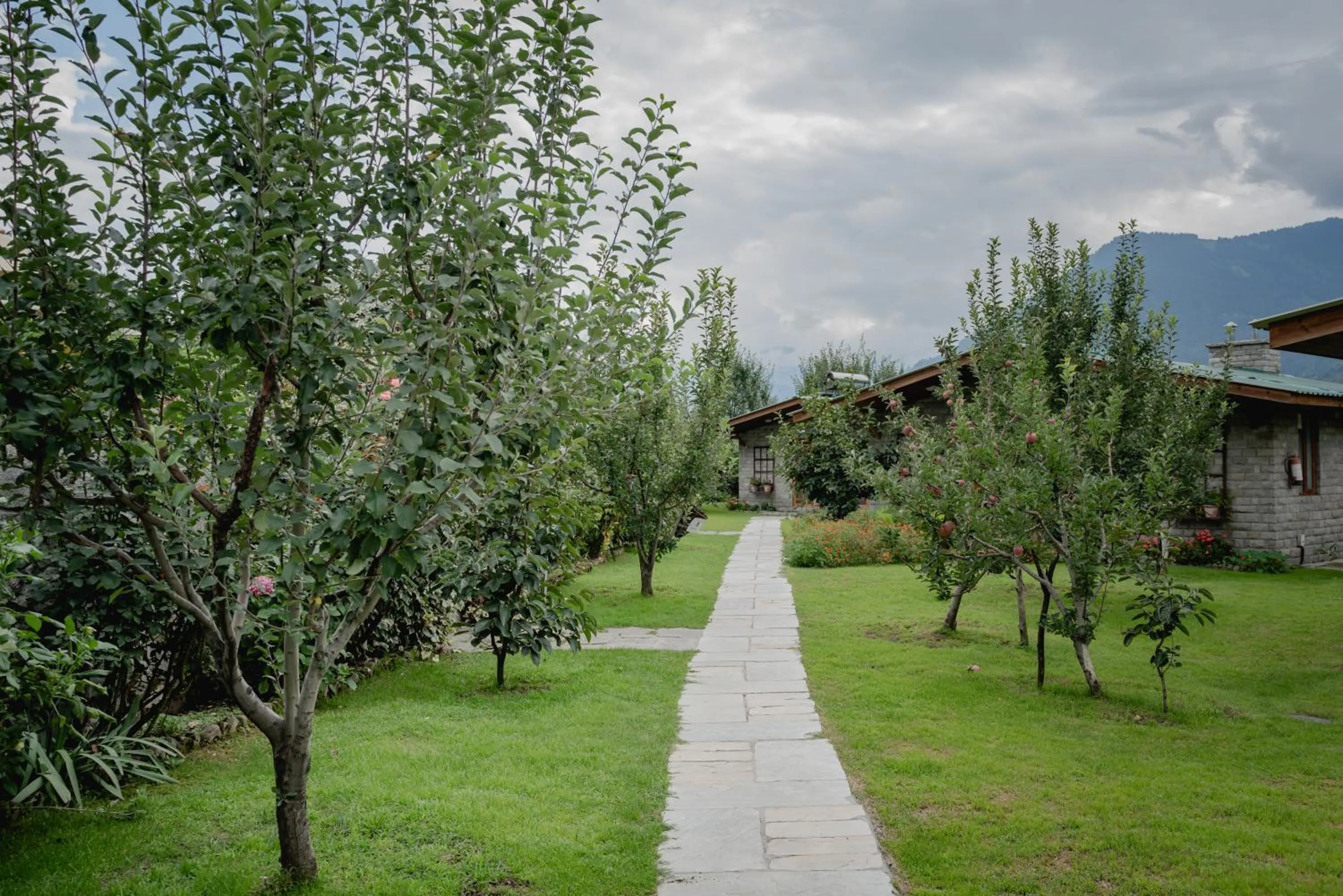 View (from property/room) in Larisa Resort Manali