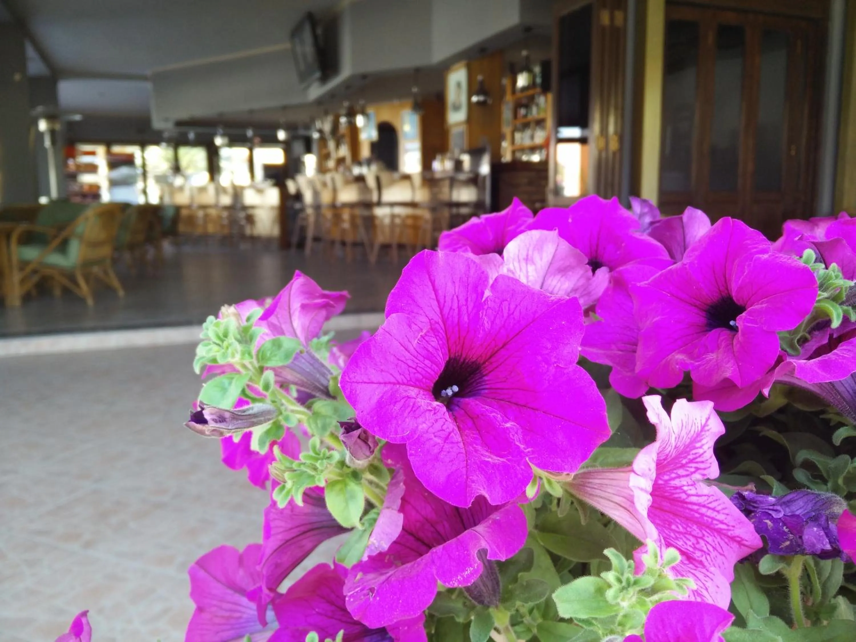 Facade/entrance in Tondoris Apartments