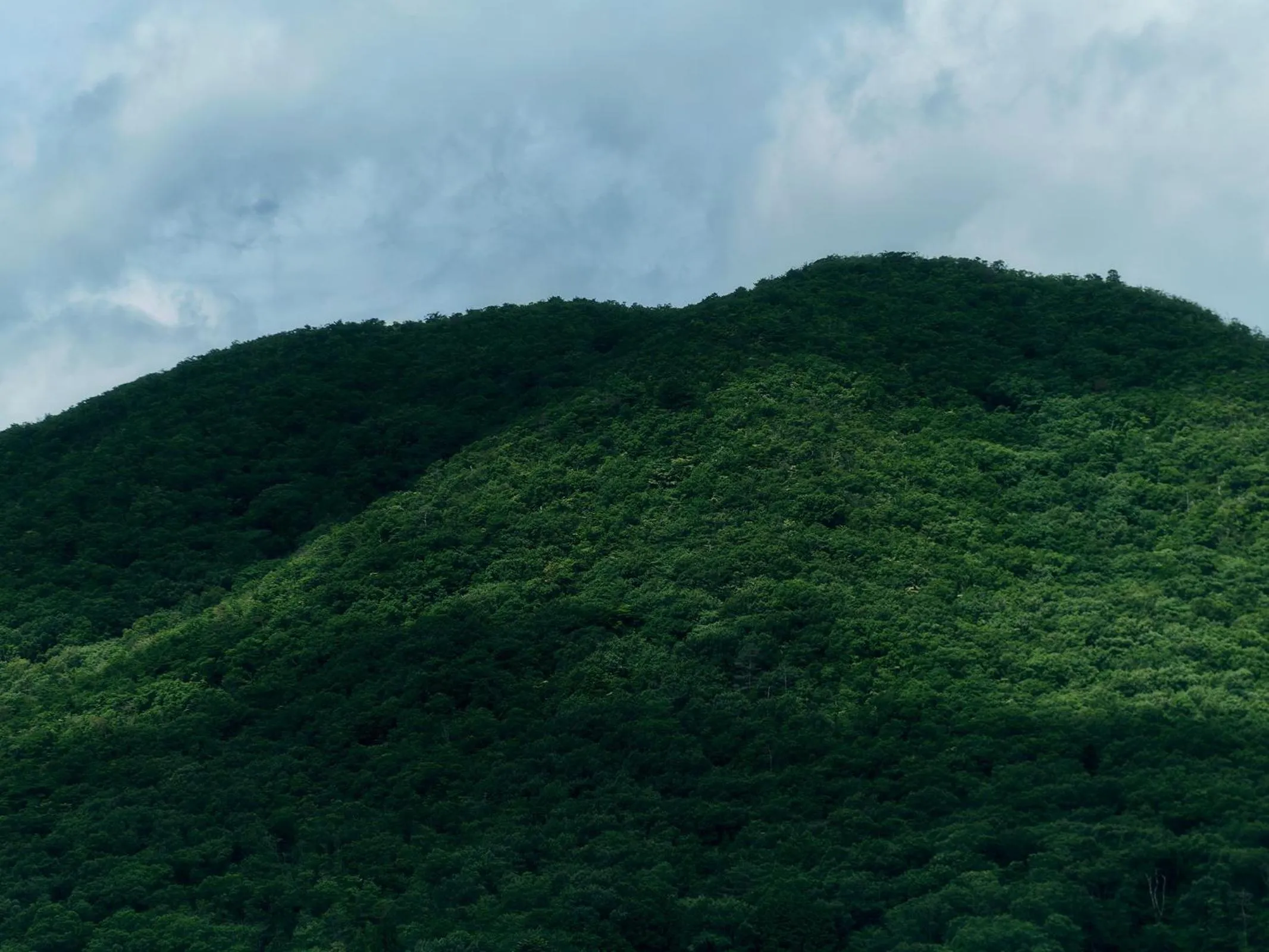 Grandvrio Hotel Tamba Sasayama Wakura - ROUTE INN HOTELS -