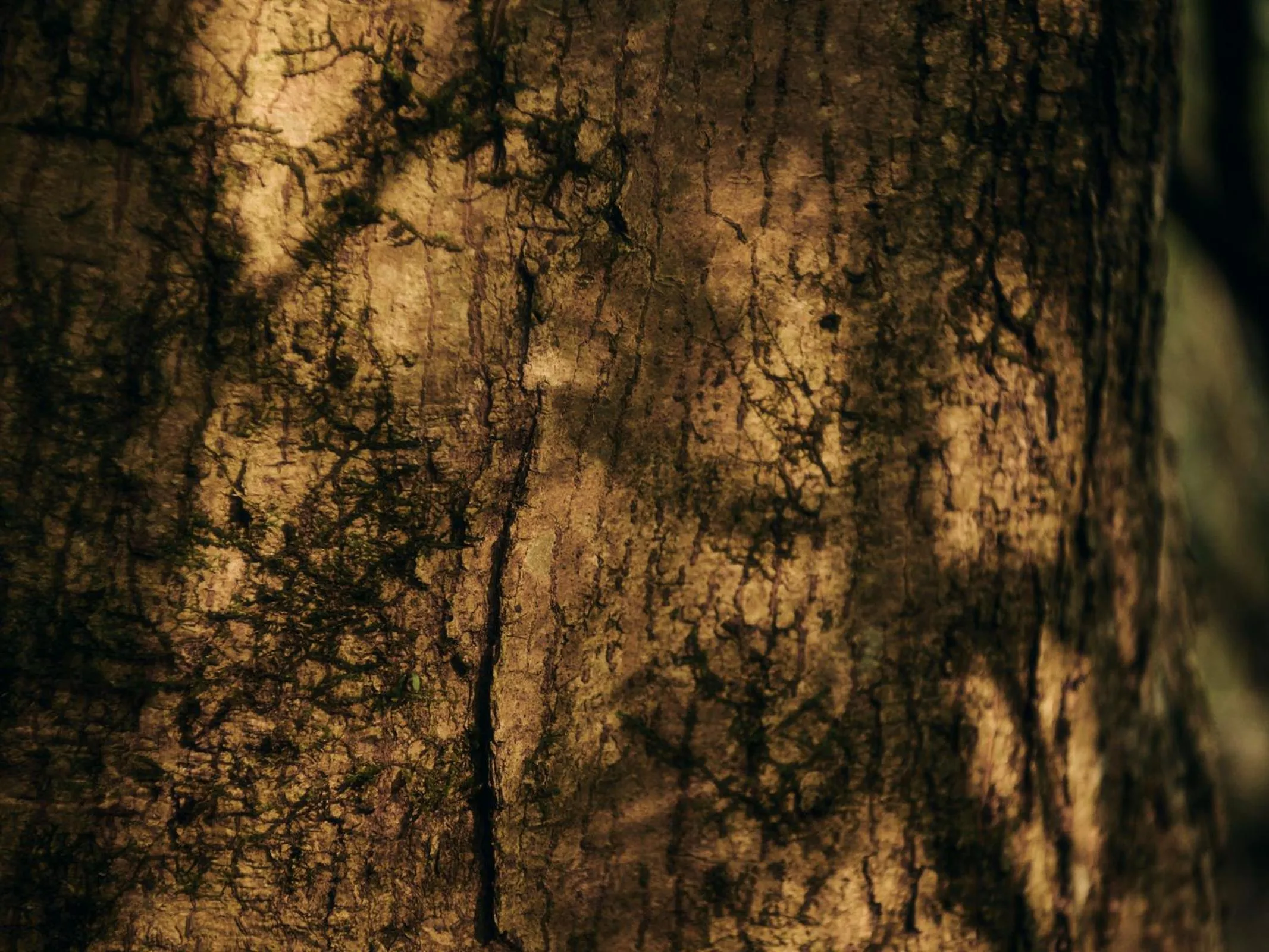 Grandvrio Hotel Tamba Sasayama Wakura - ROUTE INN HOTELS -