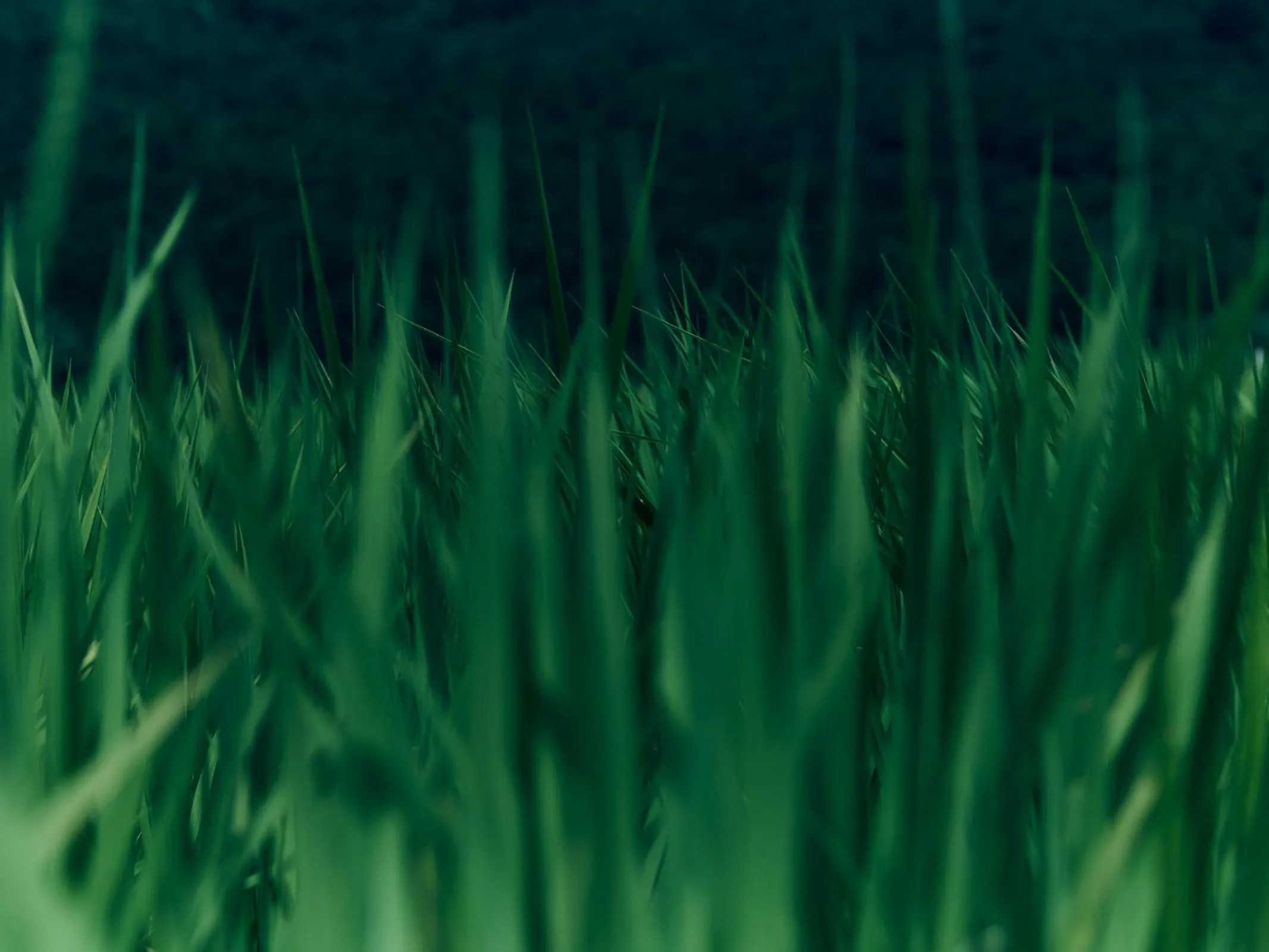 Grandvrio Hotel Tamba Sasayama Wakura - ROUTE INN HOTELS -