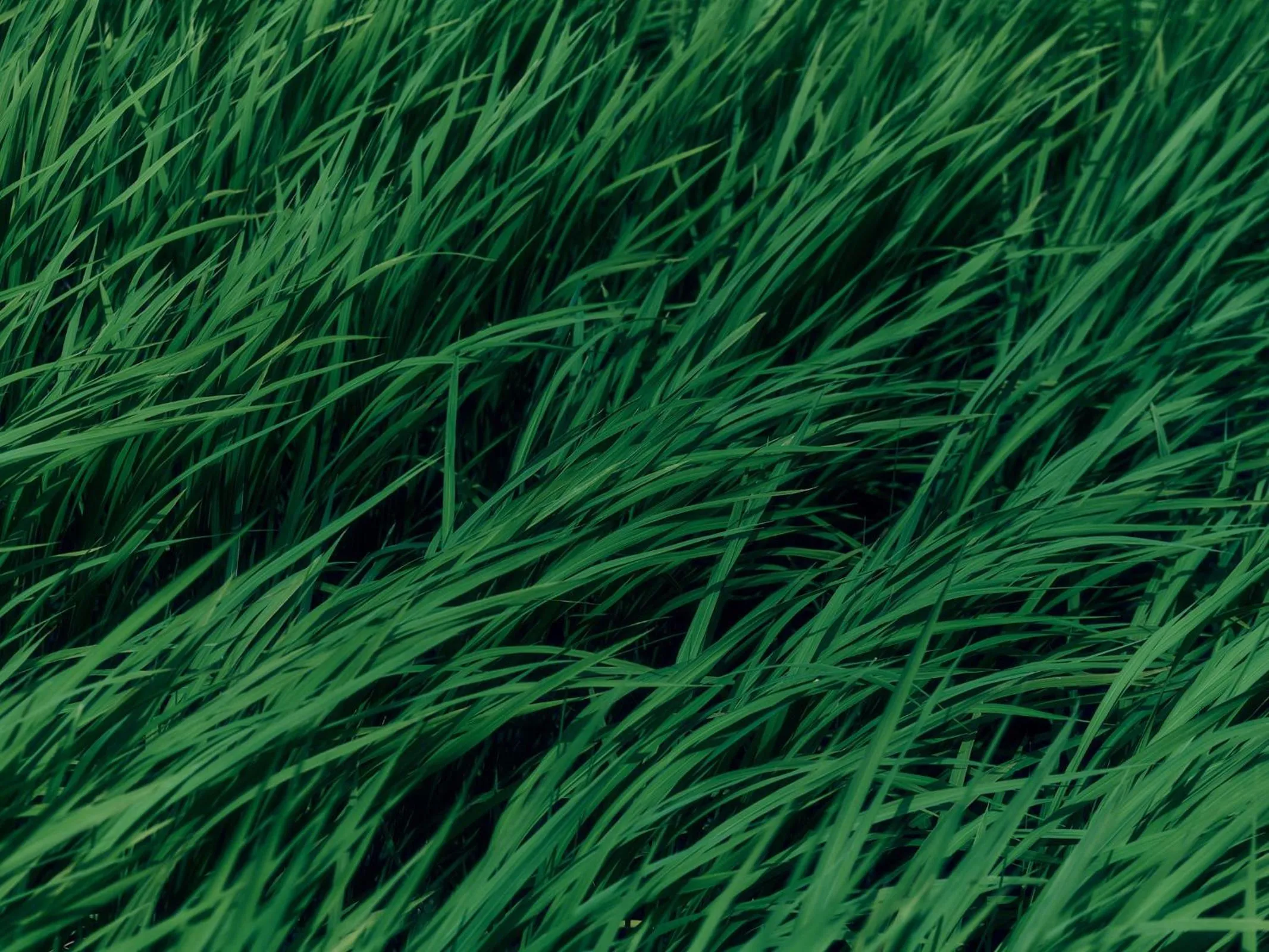 Grandvrio Hotel Tamba Sasayama Wakura - ROUTE INN HOTELS -