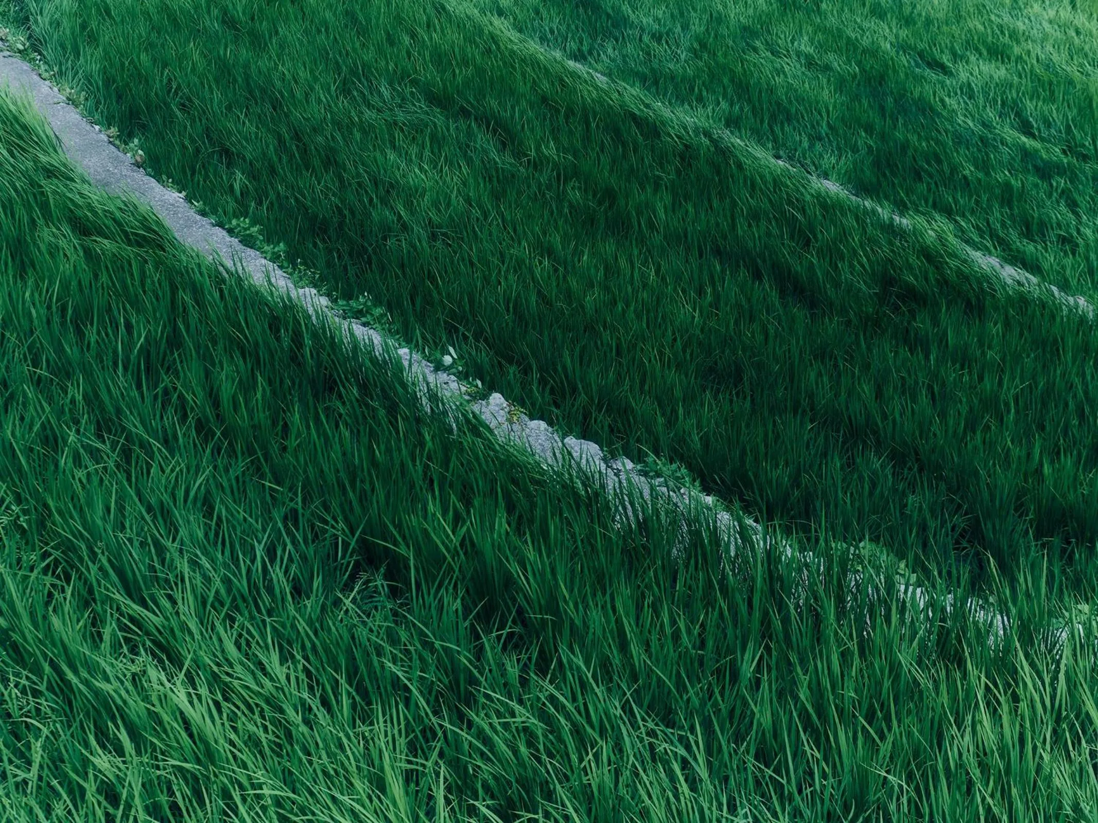 Grandvrio Hotel Tamba Sasayama Wakura - ROUTE INN HOTELS -