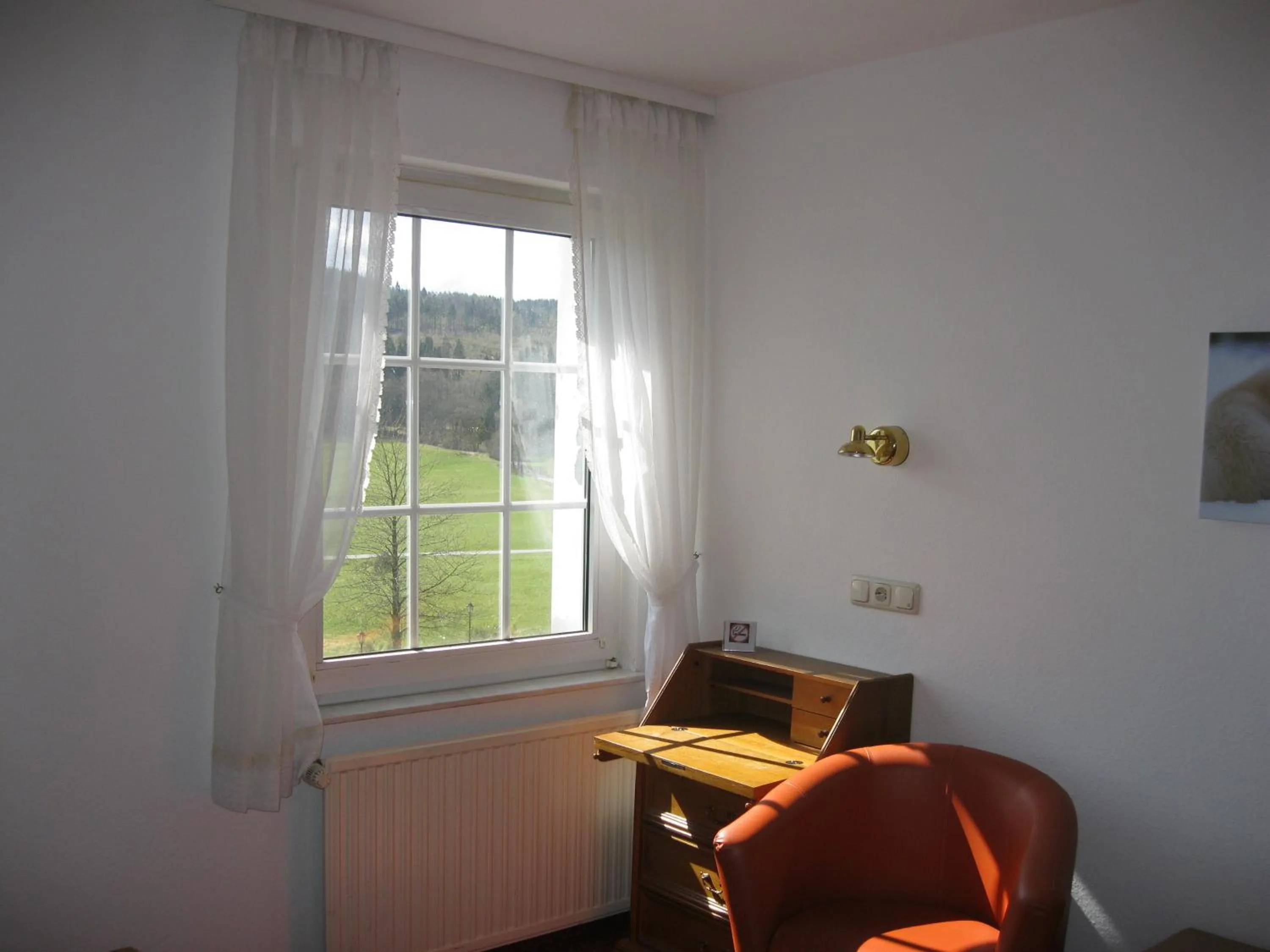 Mountain view in Jagdhaus Weber