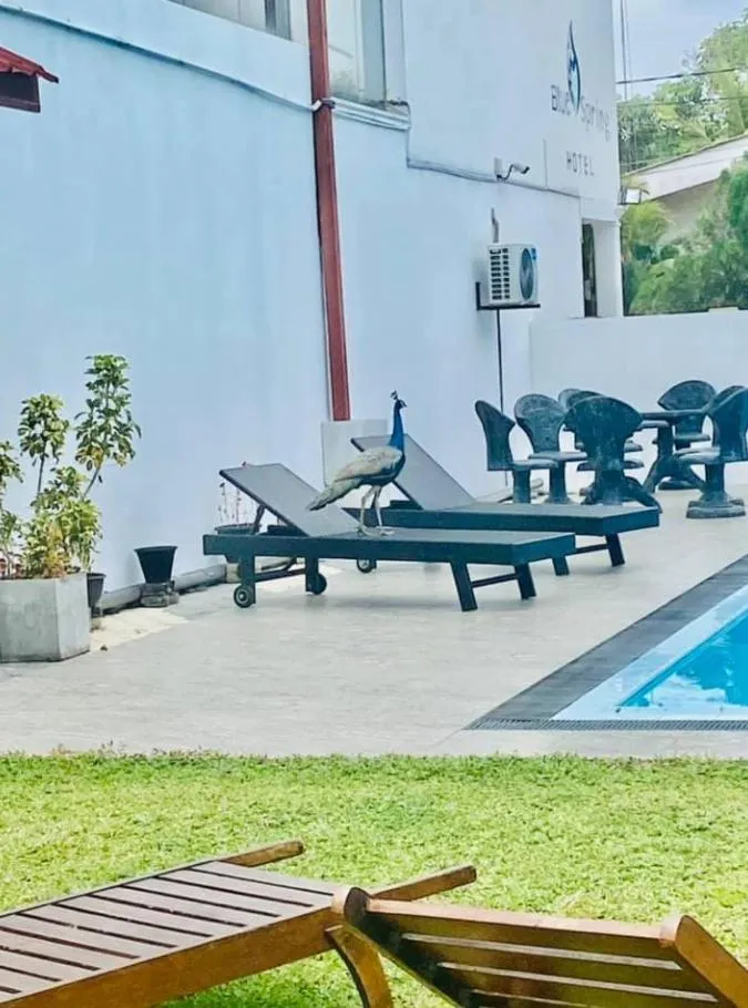 Balcony/Terrace in Blue Spring Hotel Wadduwa