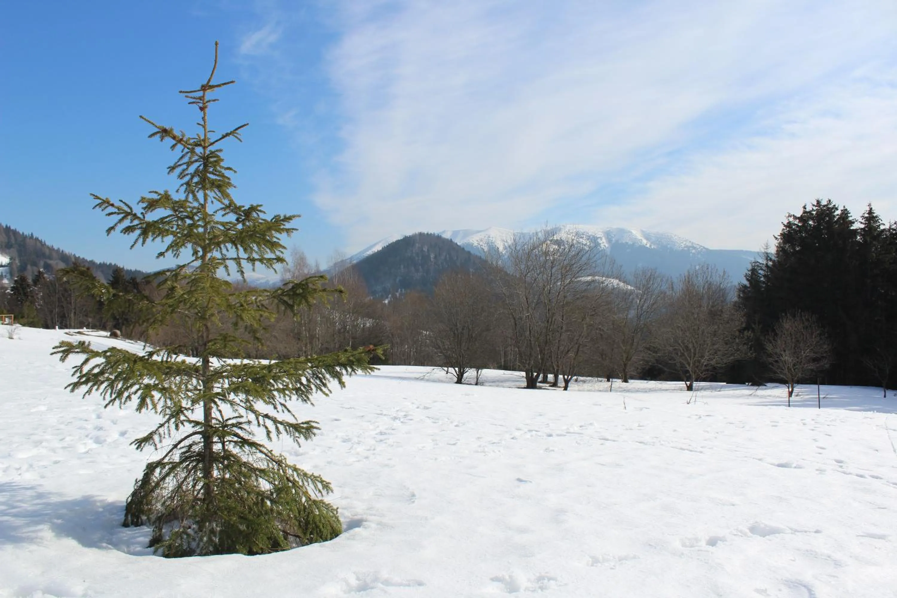 Natural landscape in Apartman MARLEA