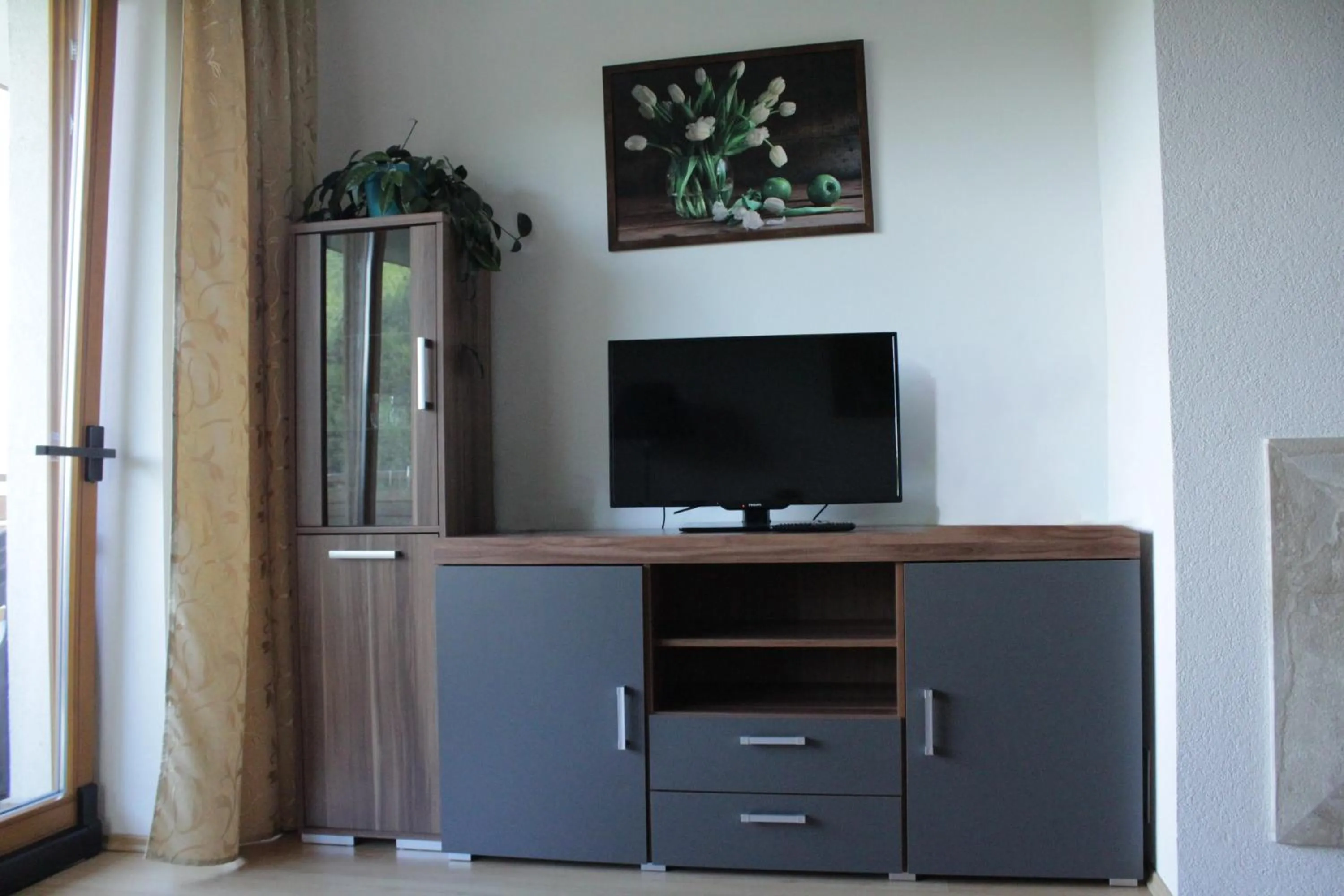 TV and multimedia in Apartman MARLEA