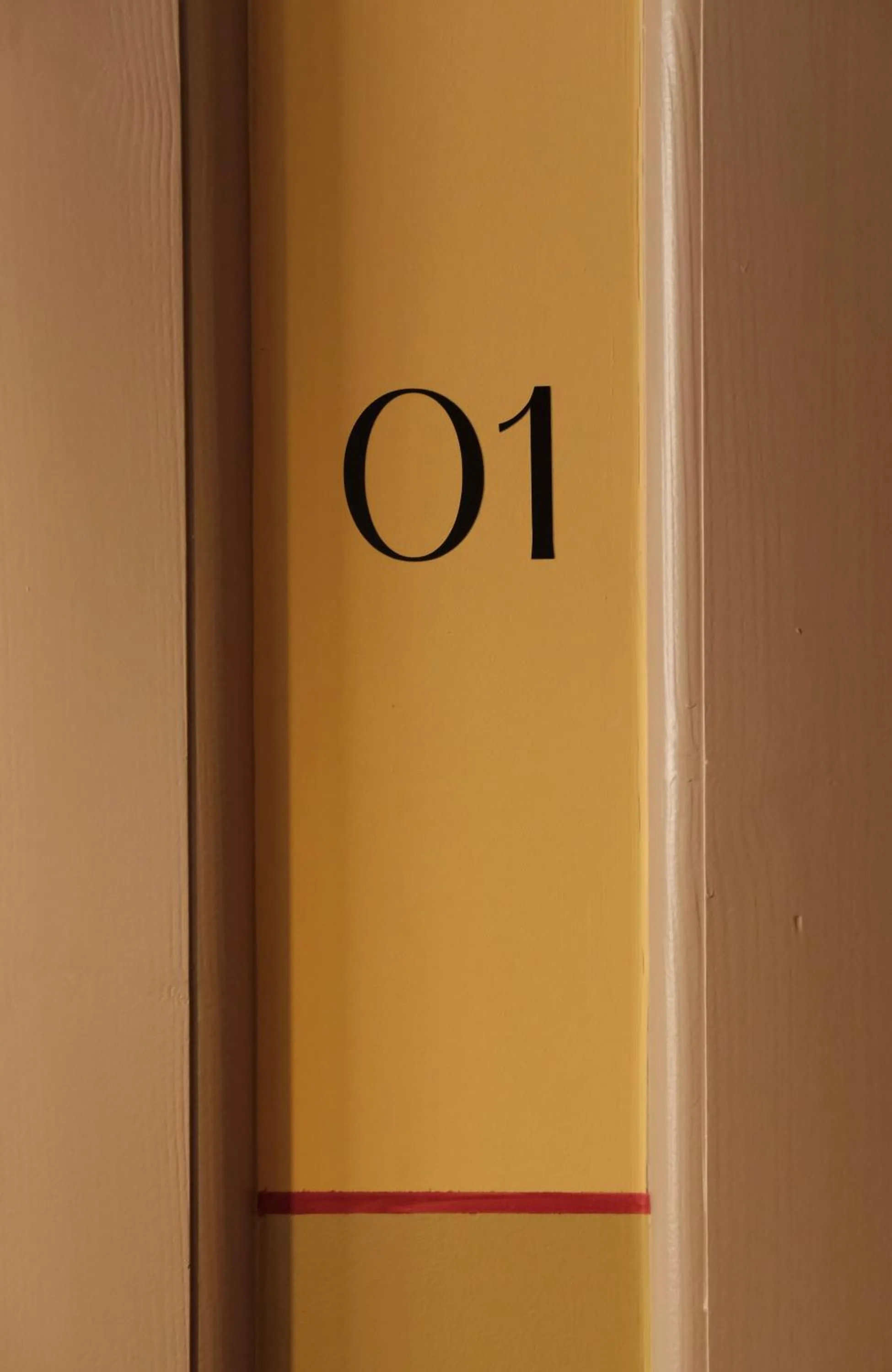 Property building in Metzlr House