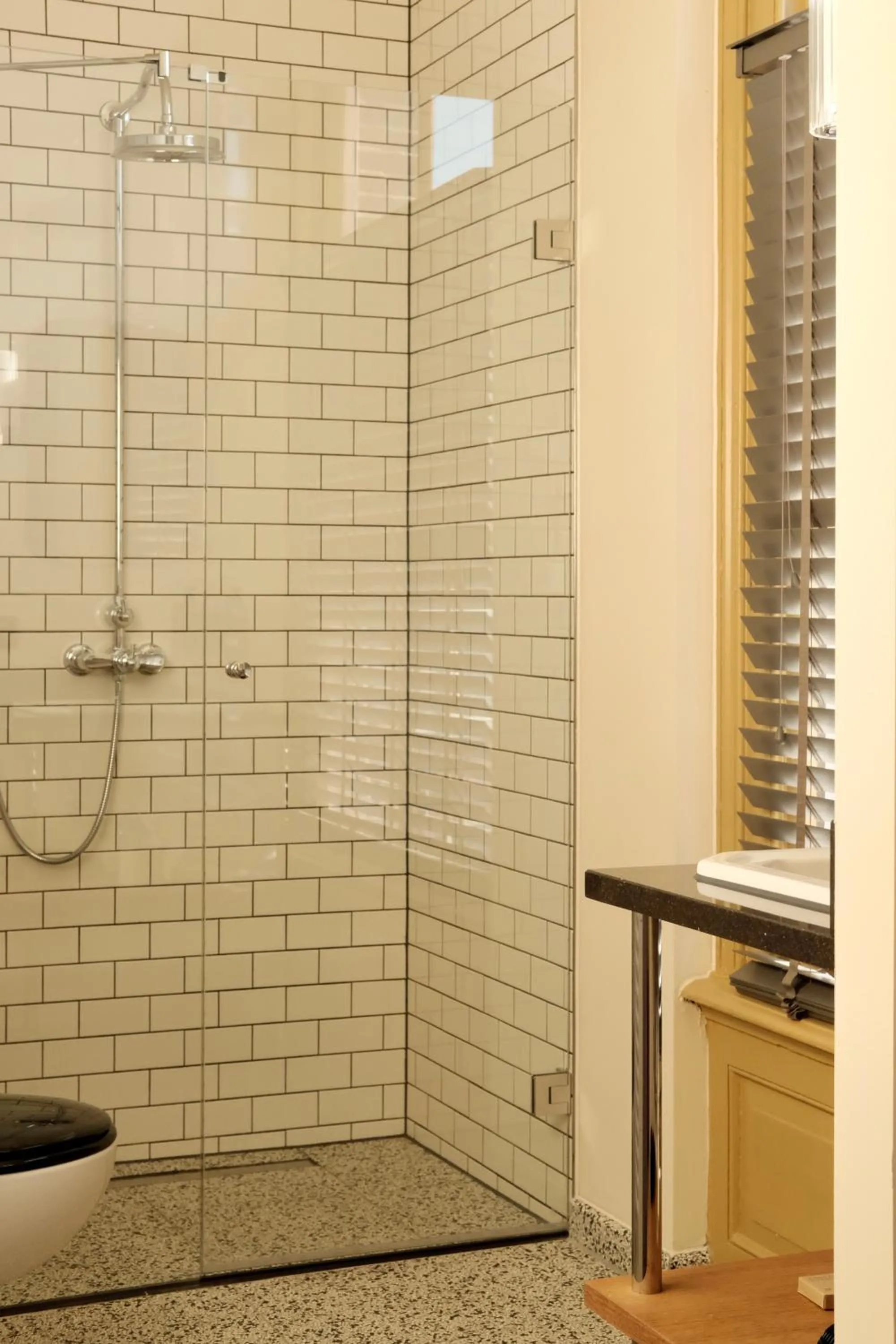 Shower in Metzlr House
