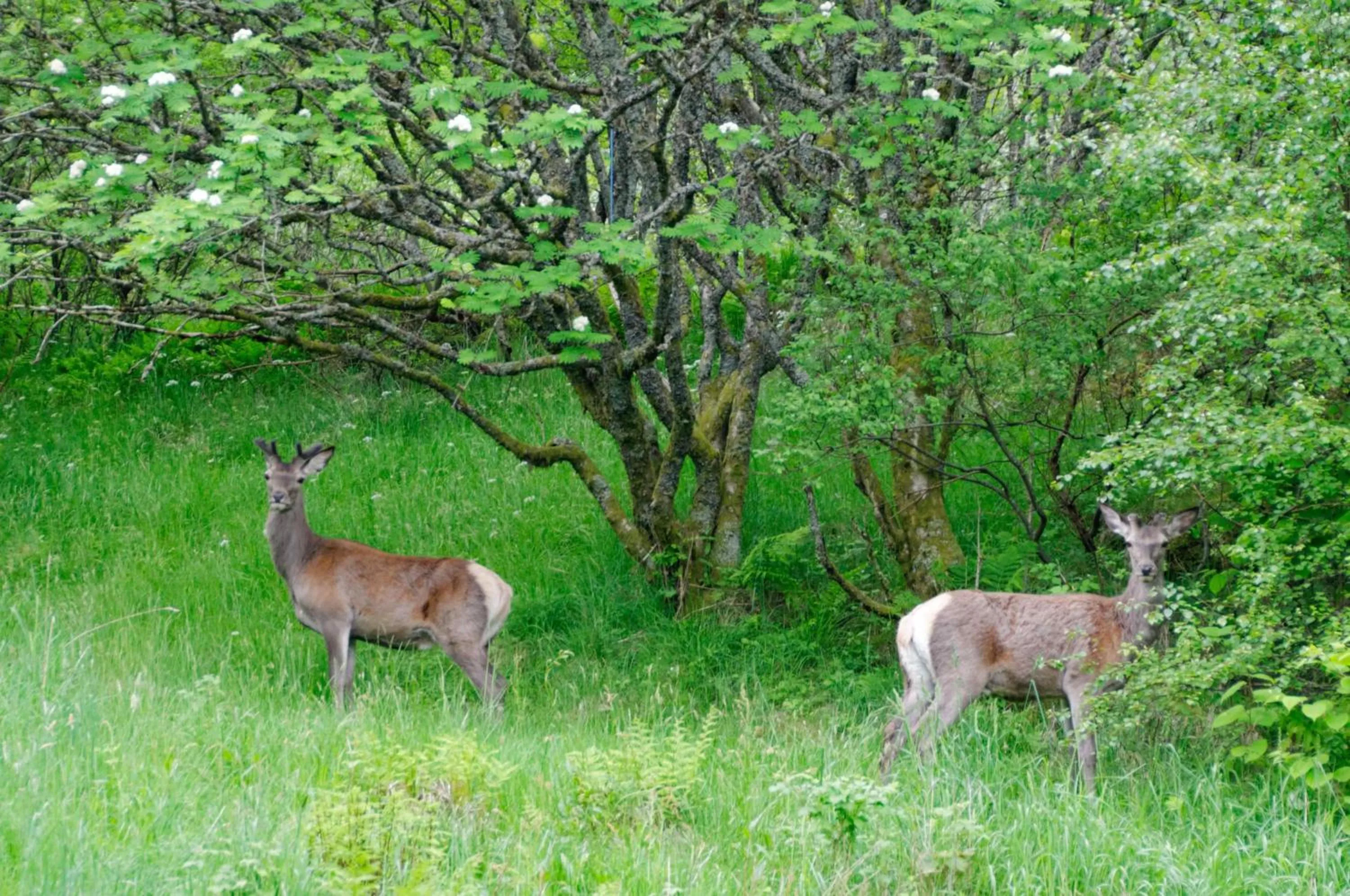Neighbourhood in Master Apartment Hotel