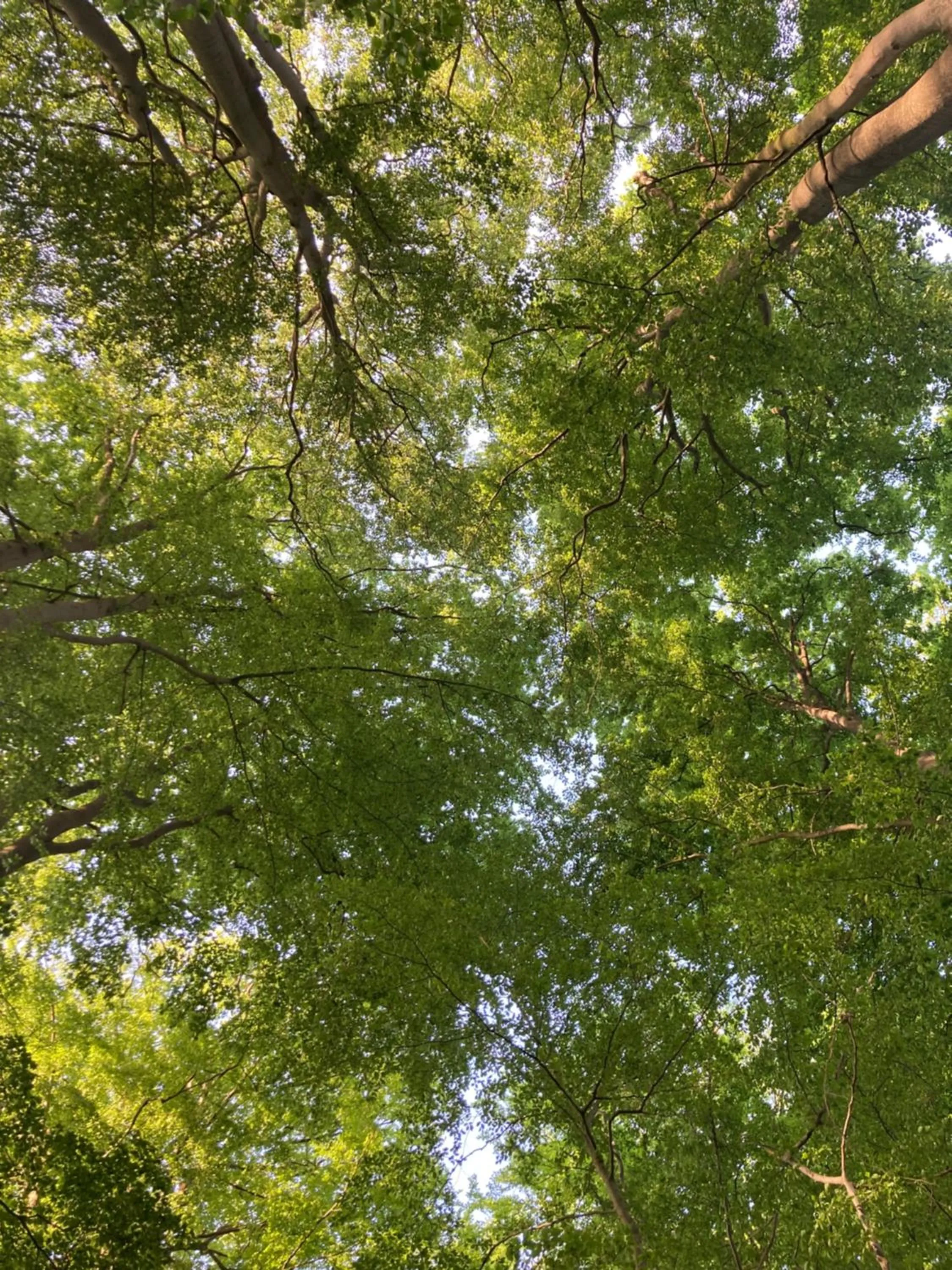 Landhaus Schloss Kölzow
