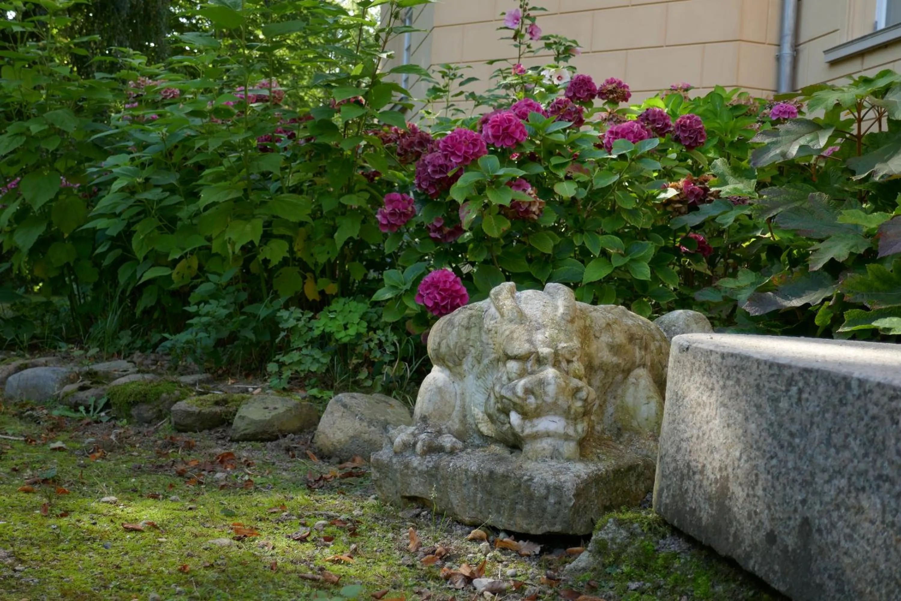 Garden in Landhaus Schloss Kölzow