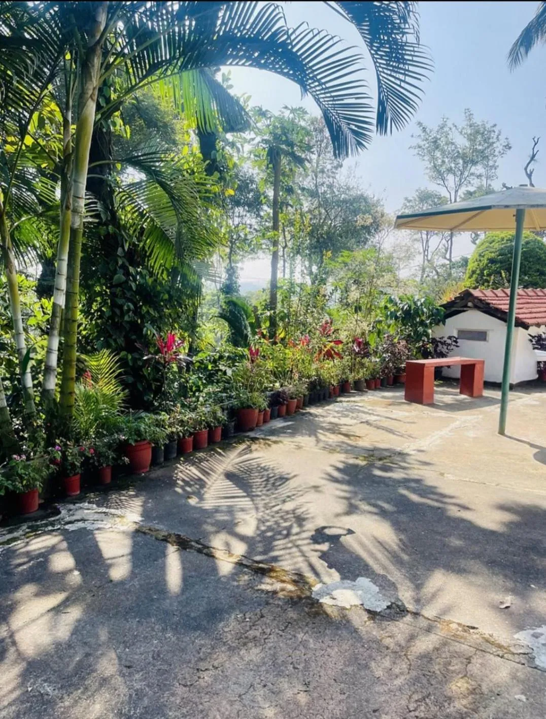 The Blue Mountains Estate Stay