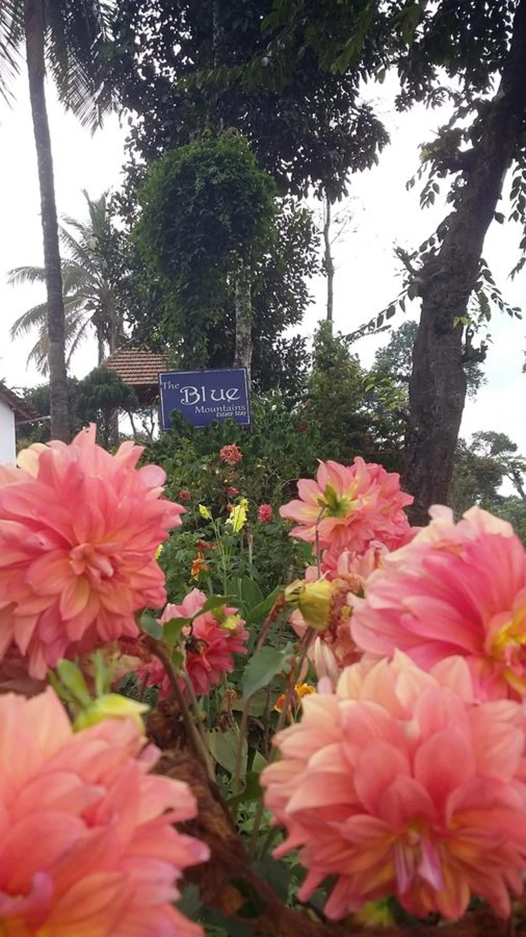 Property logo or sign in The Blue Mountains Estate Stay