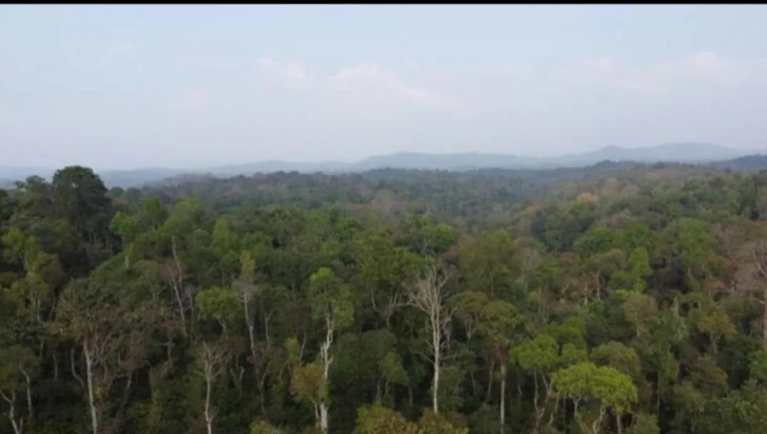The Blue Mountains Estate Stay