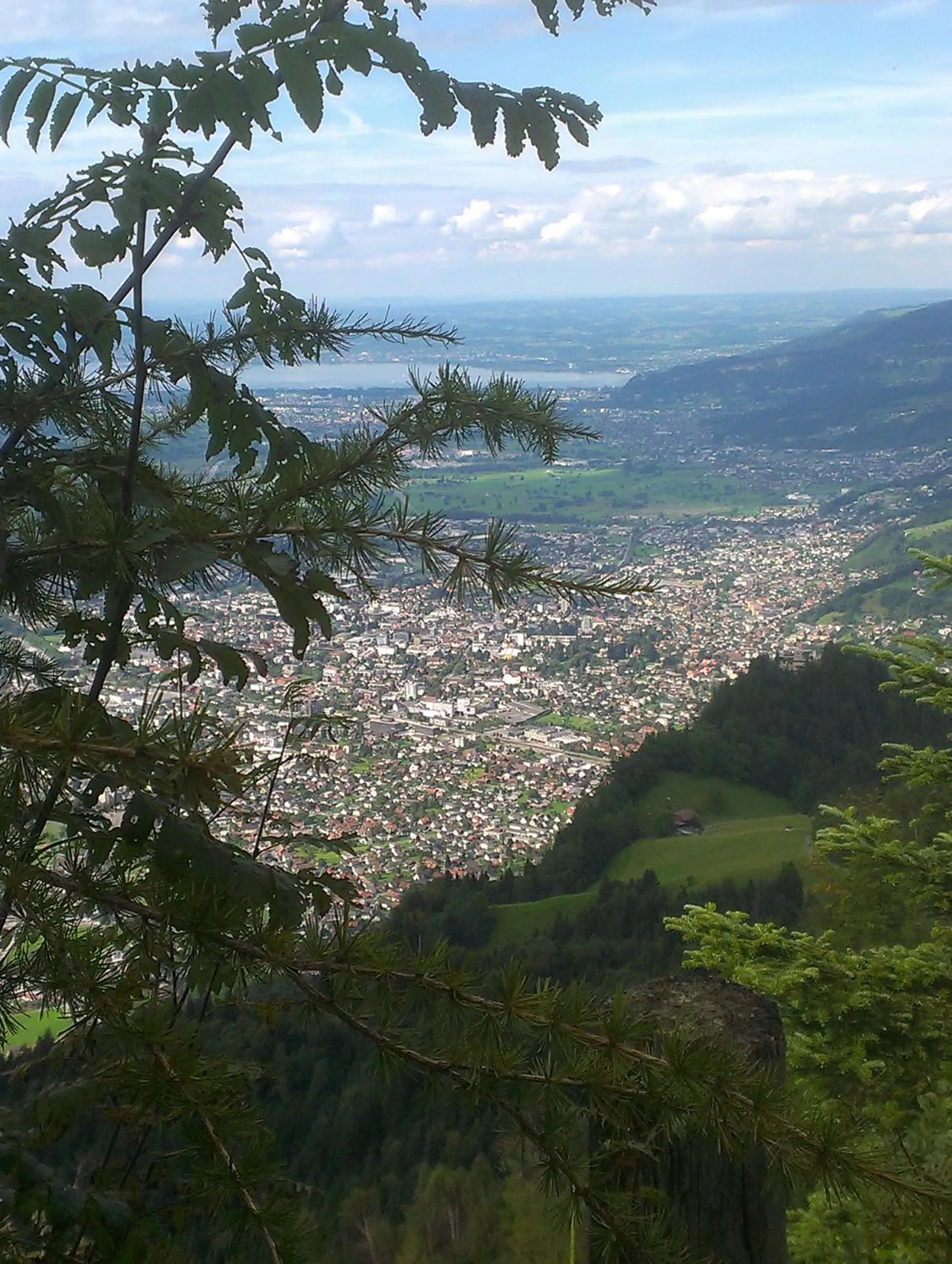 Natural landscape in Business Apartments
