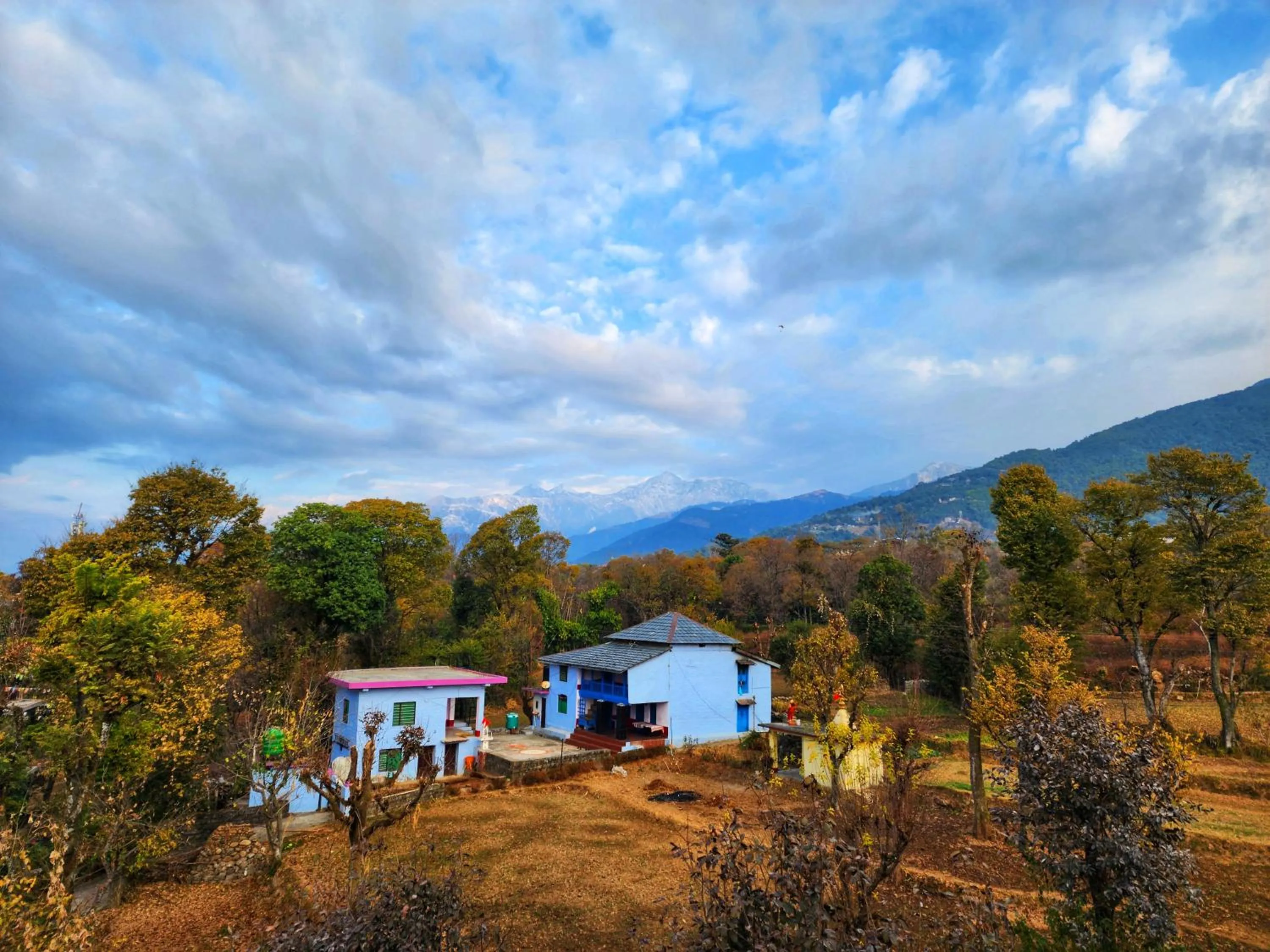 Natural landscape in Dorjee House Bir