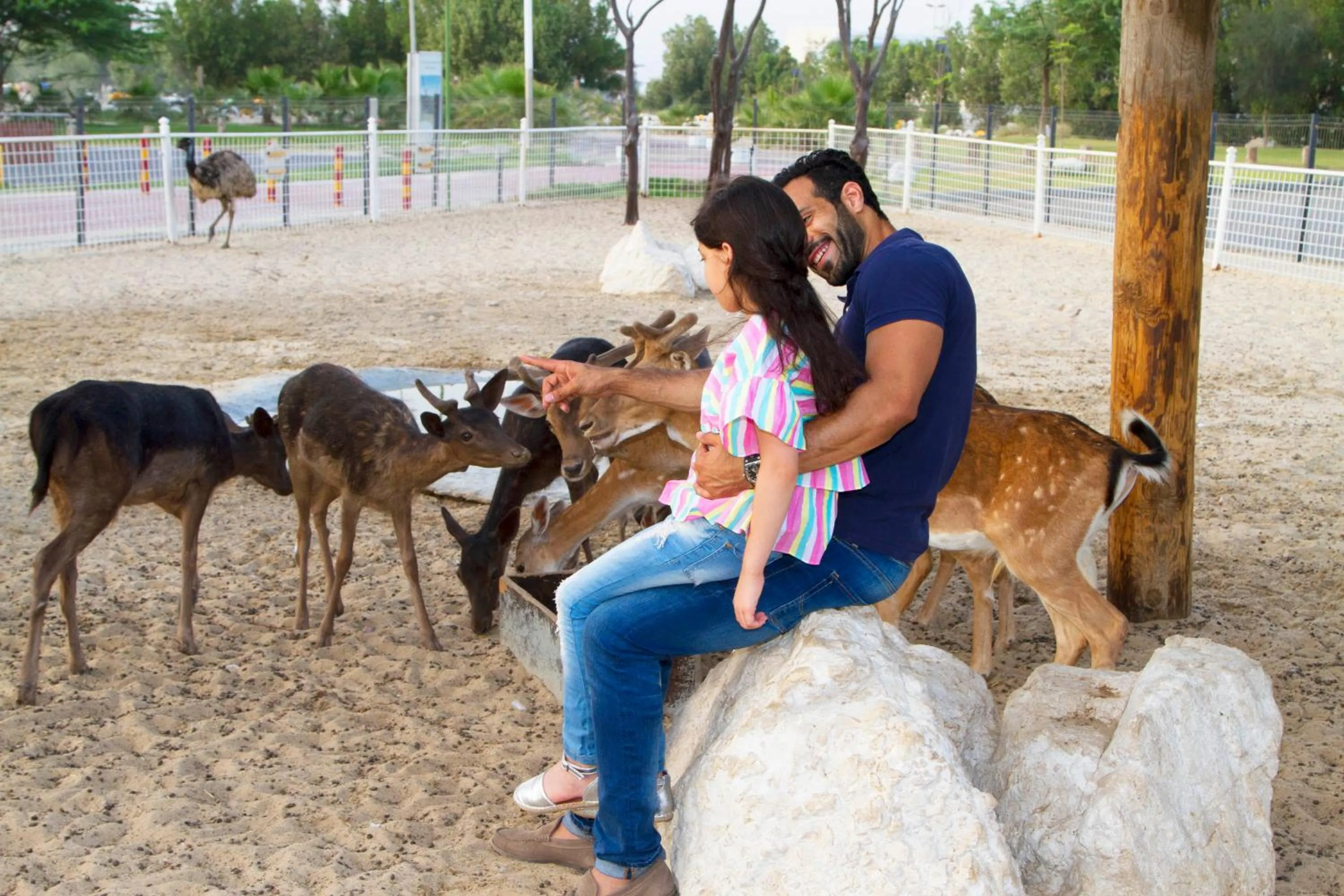 Animals in Dana Beach Resort