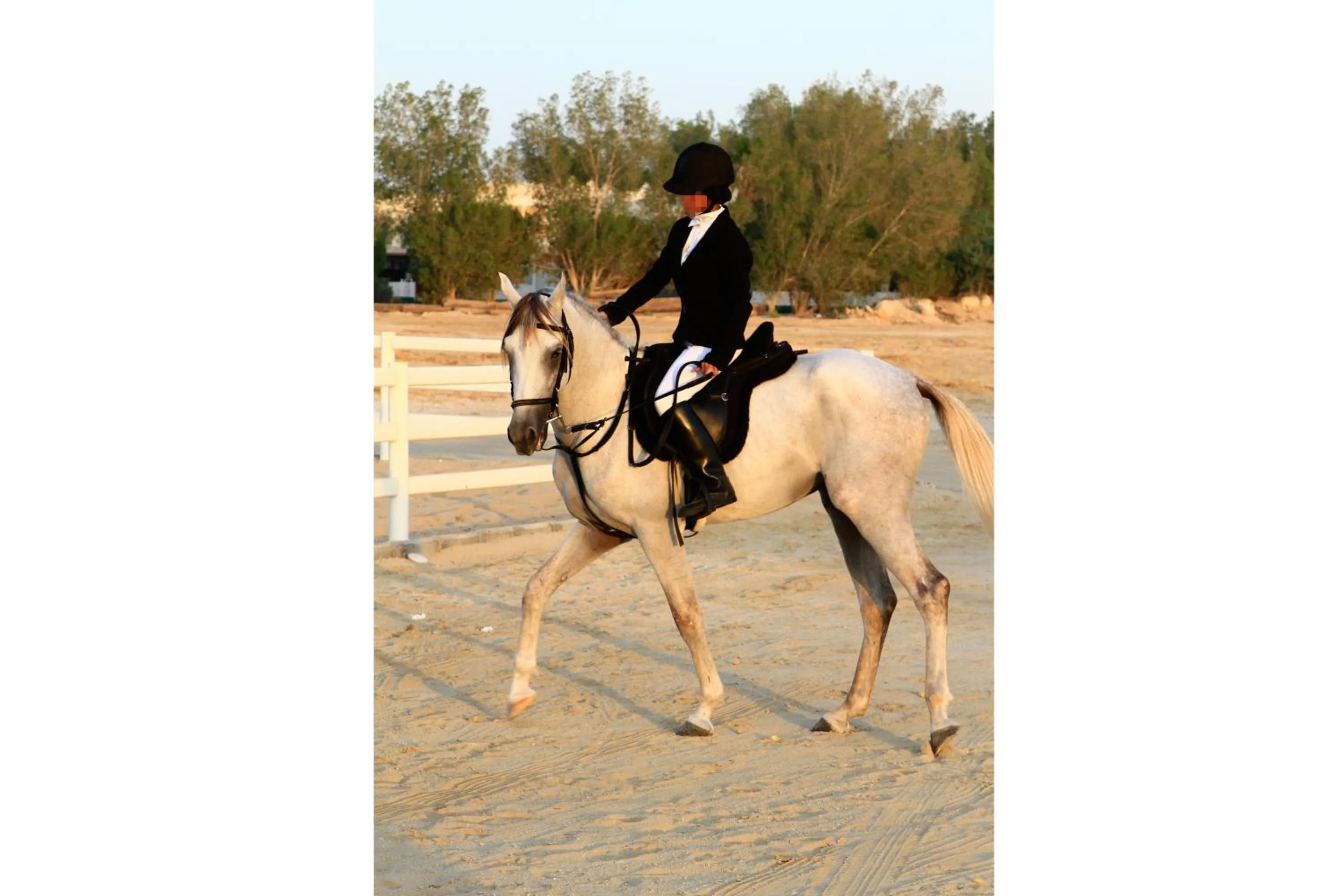 Horse-riding in Dana Beach Resort