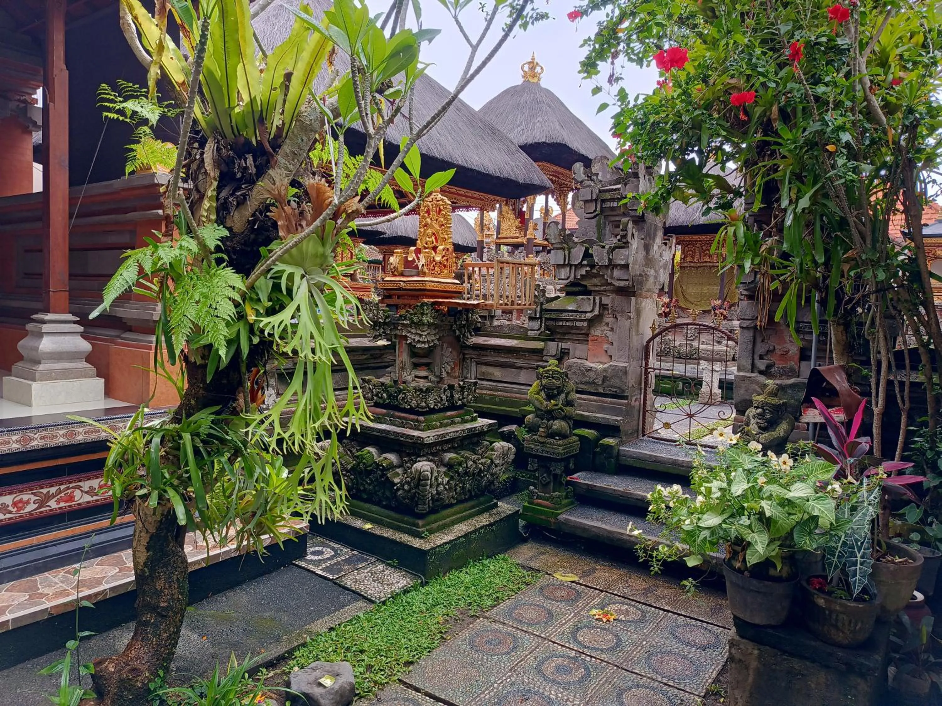 Garden view in Nyoman House Ubud