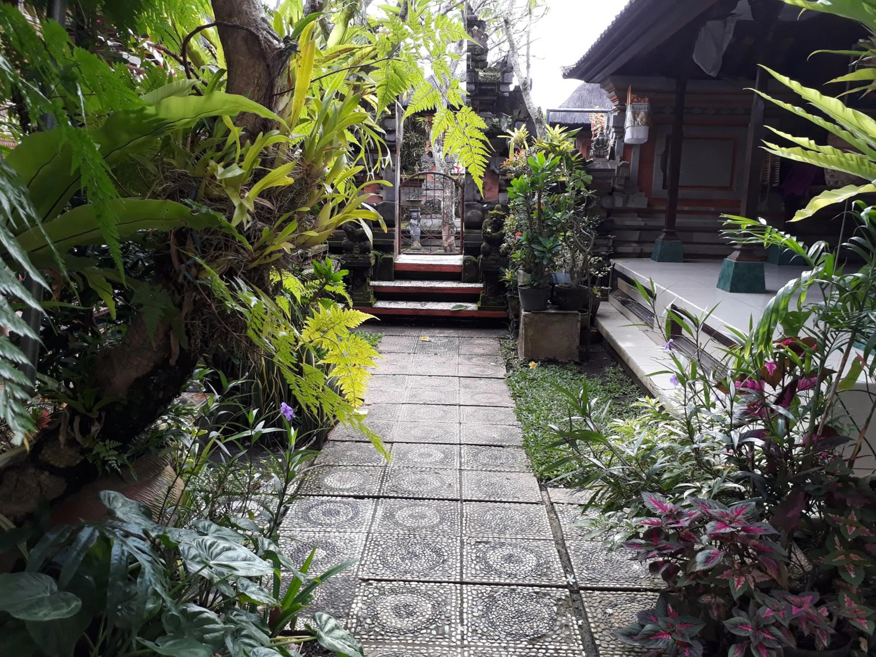Garden in Nyoman House Ubud