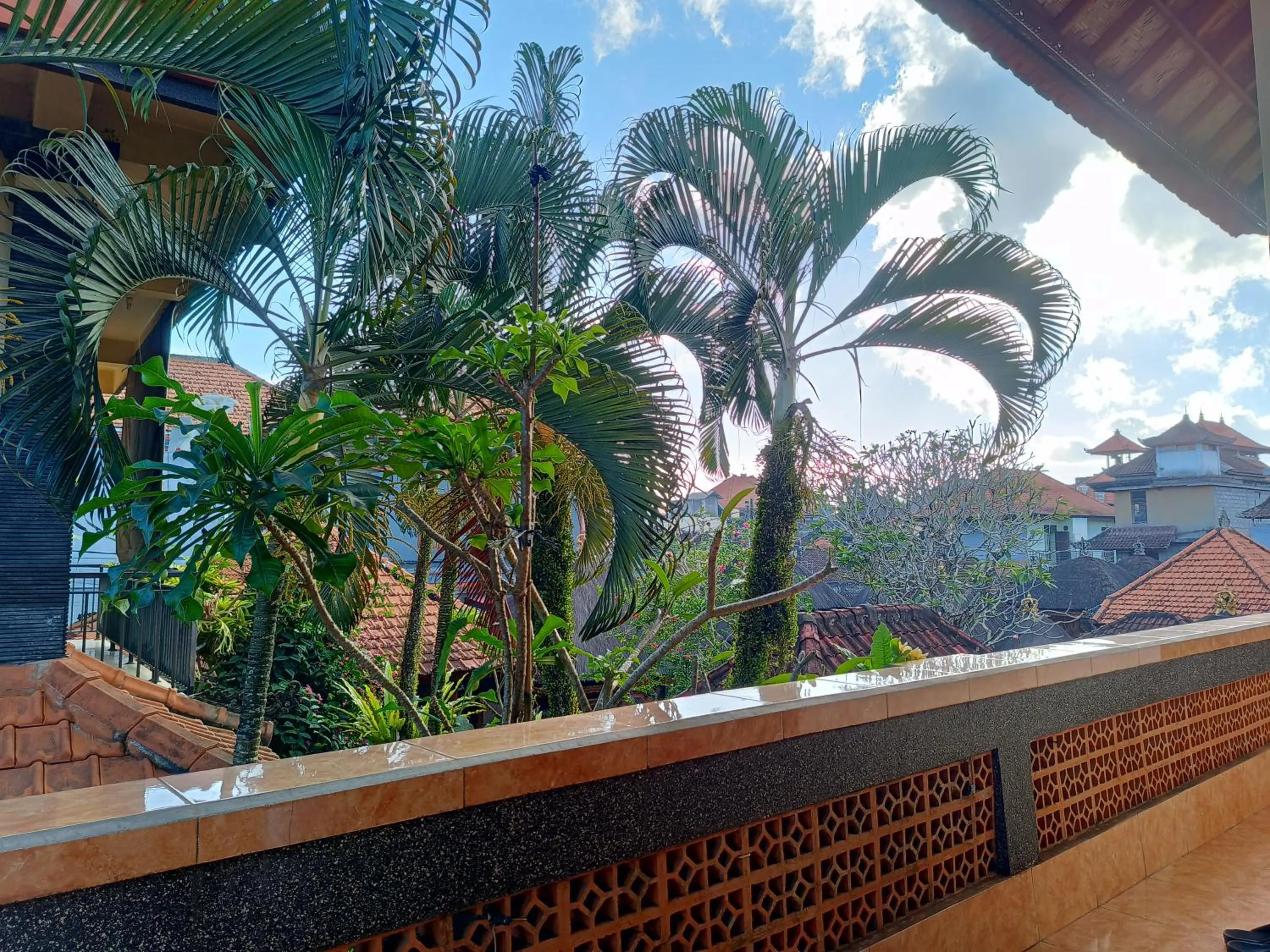 View (from property/room) in Nyoman House Ubud