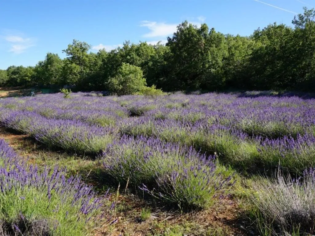 Property building in La Buisse