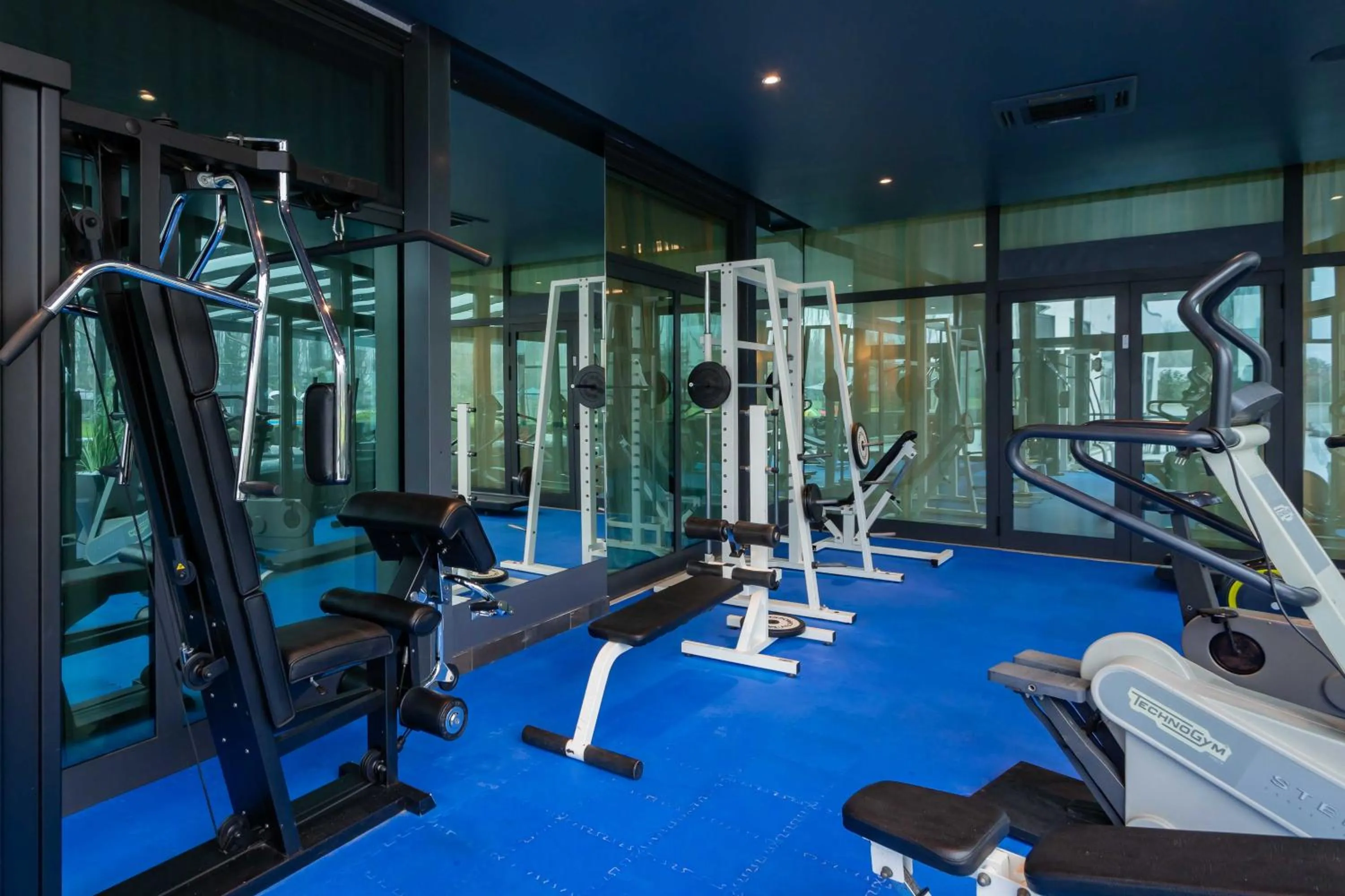 Fitness centre/facilities in ibis Styles Milano Est Settala