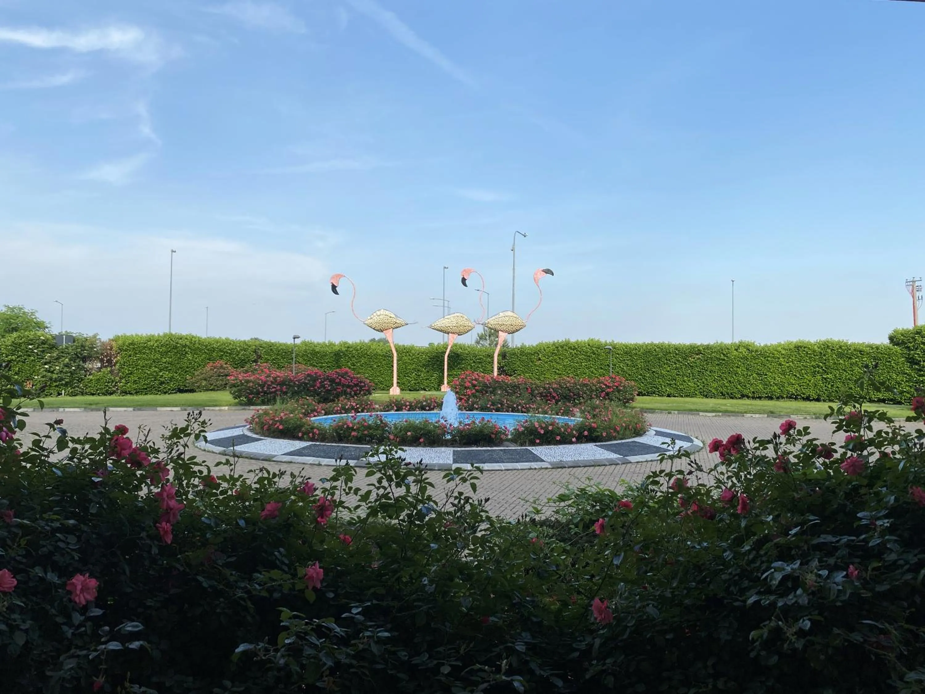 Natural landscape in ibis Styles Milano Est Settala