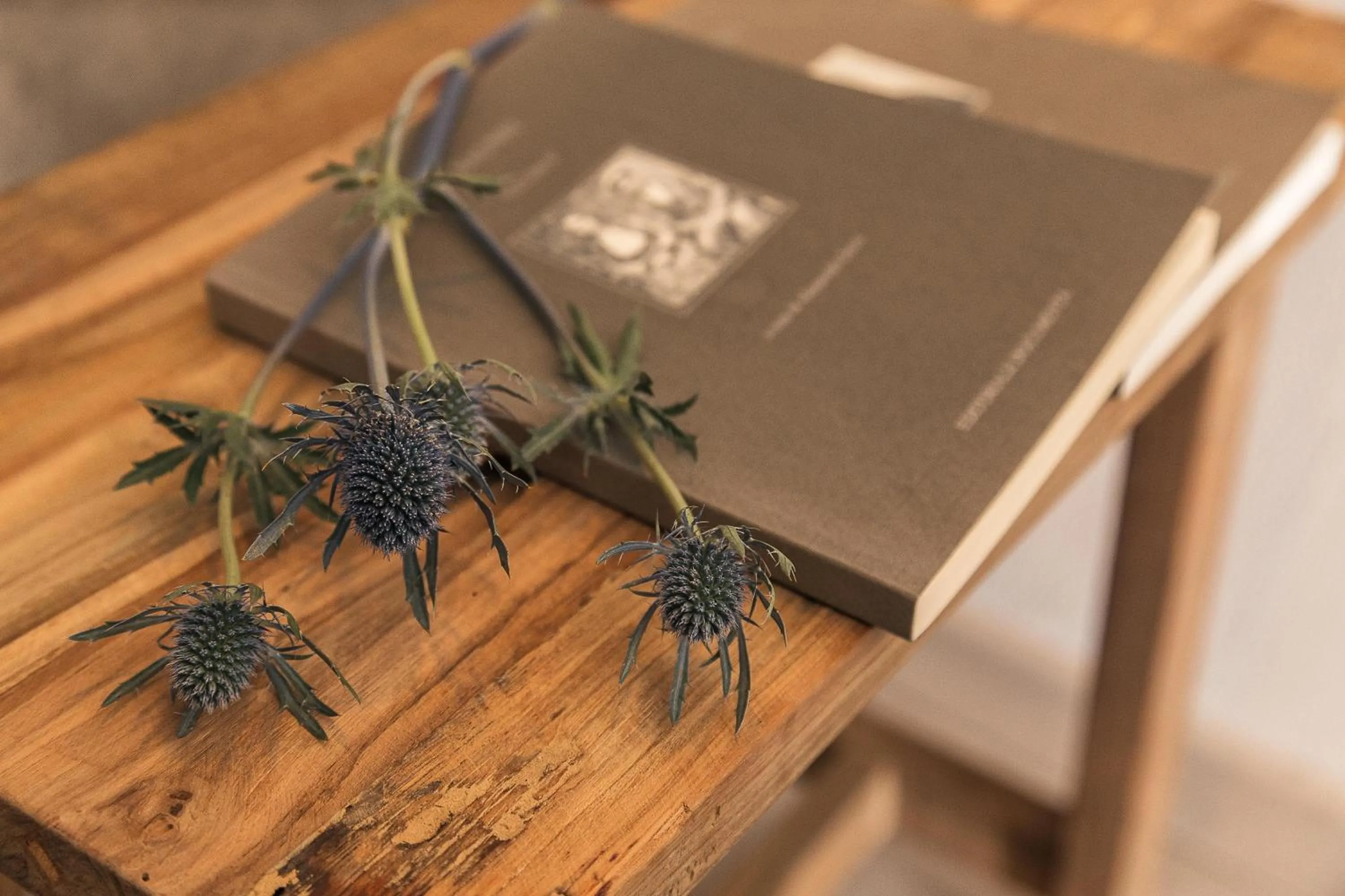 Decorative detail in B&B I Cinque Mori