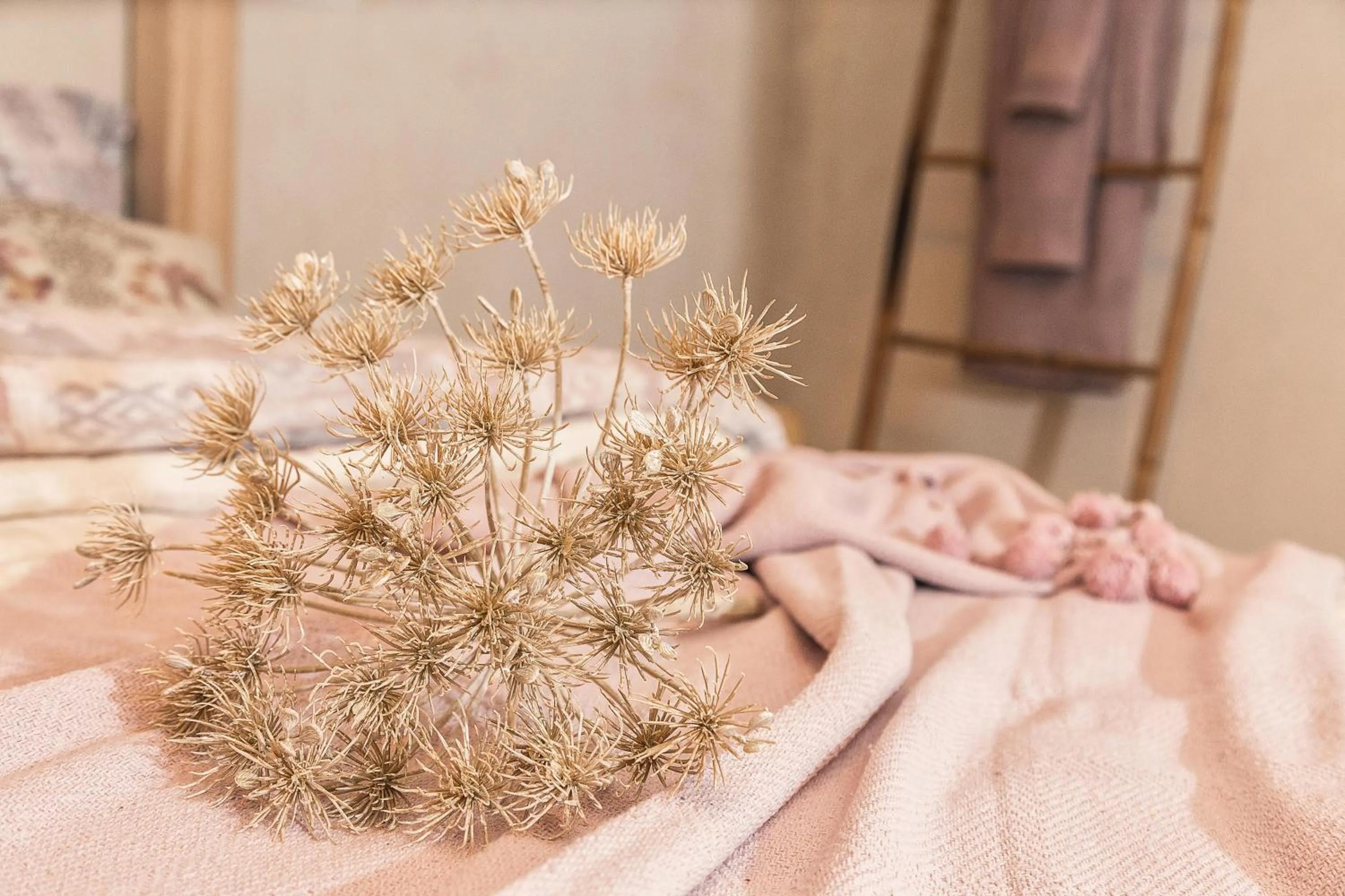 Photo of the whole room, Bed in B&B I Cinque Mori